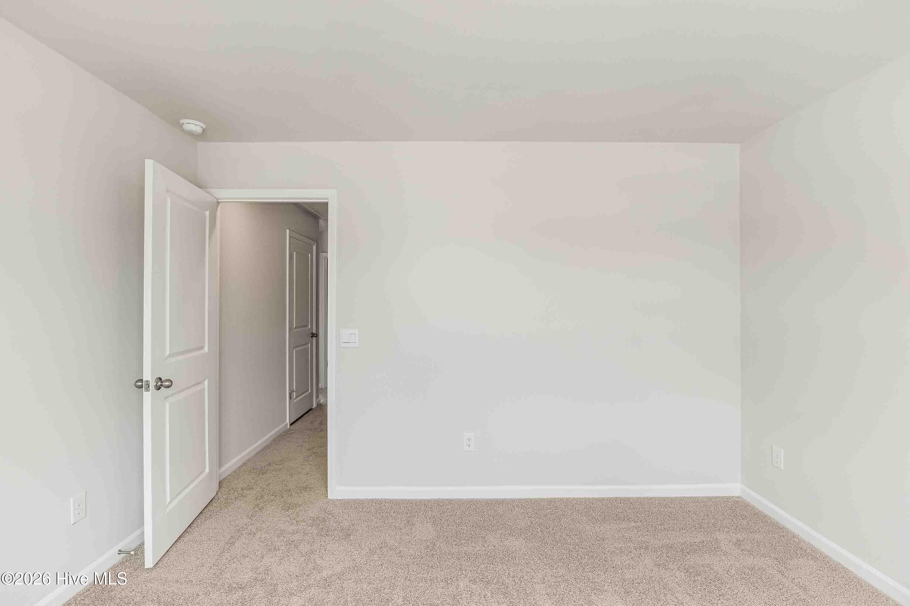 100564191 | Photo 33