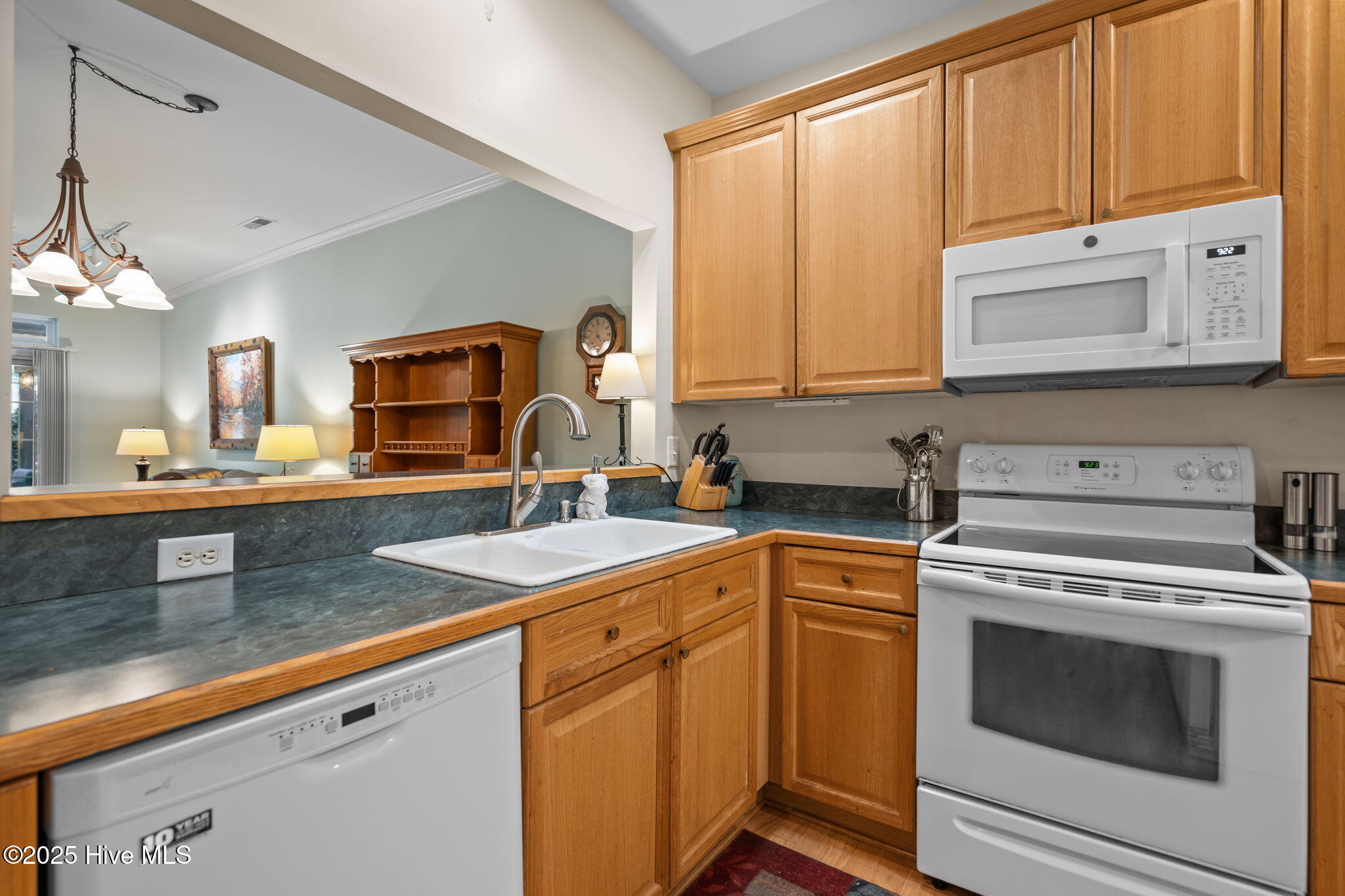 100528475 | Photo 17