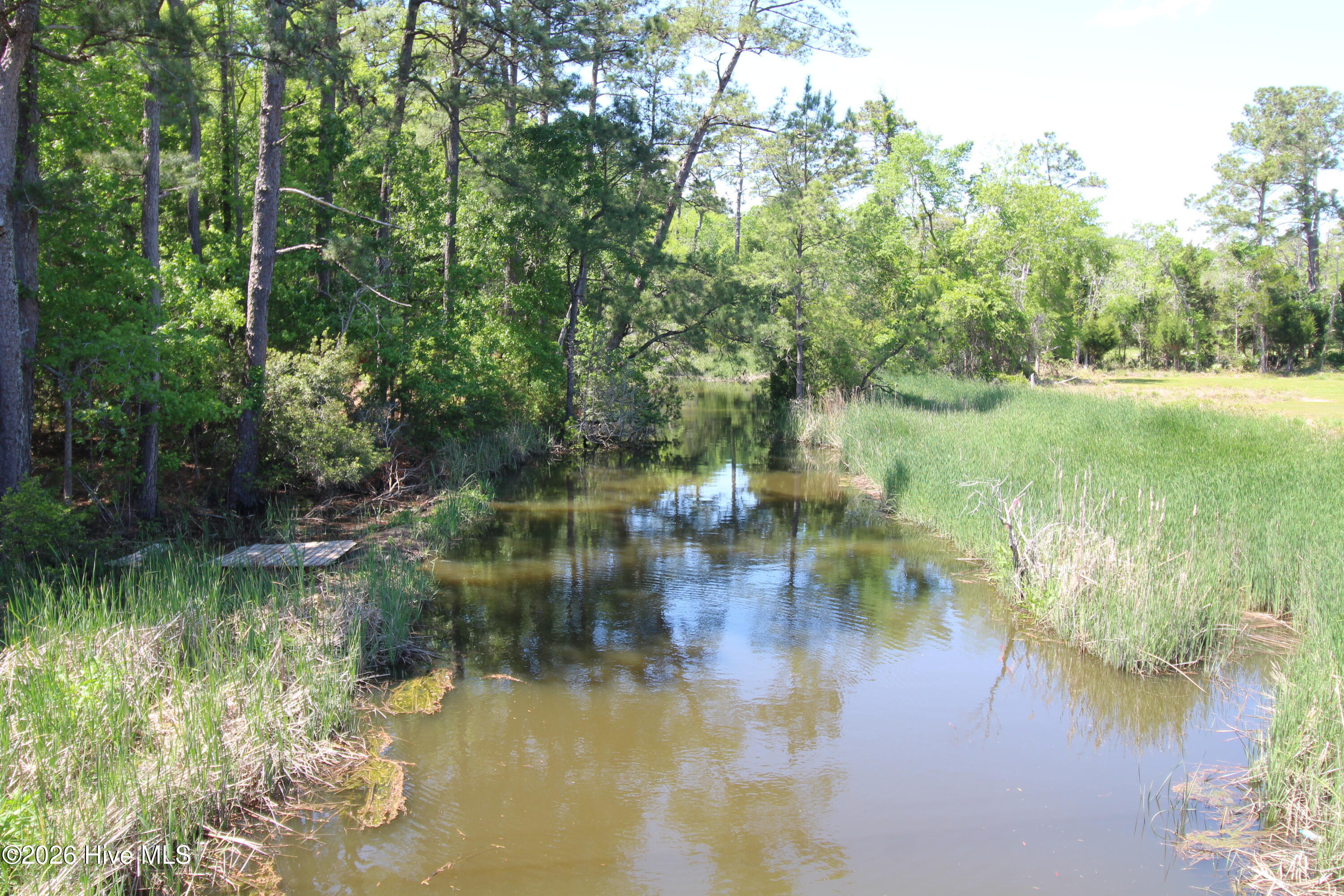 100568371 | Photo 11