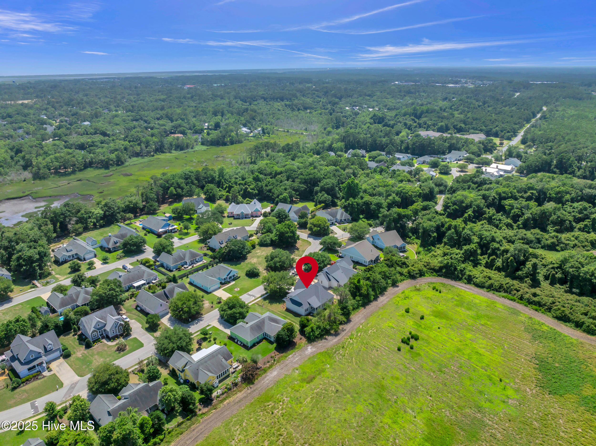 100542889 | Photo 51