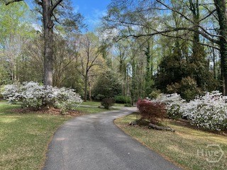 Driveway 1