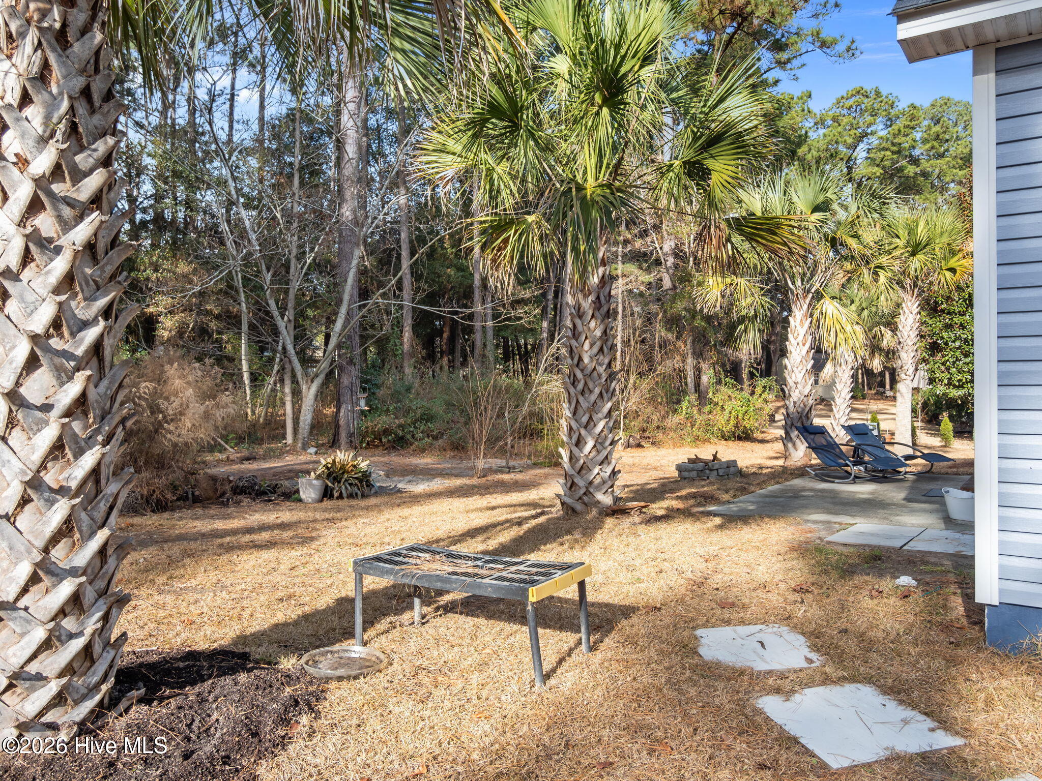 100547615 | Photo 31