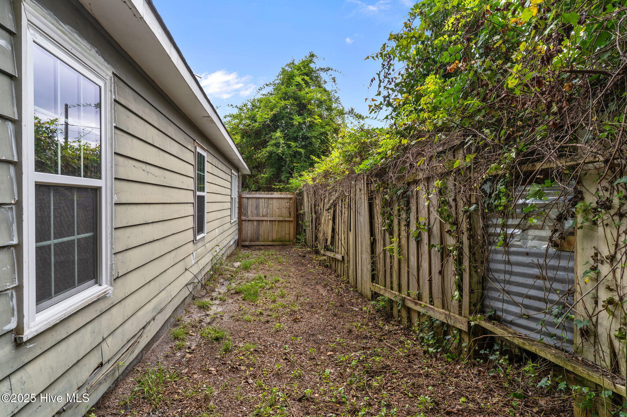 100528718 | Photo 35