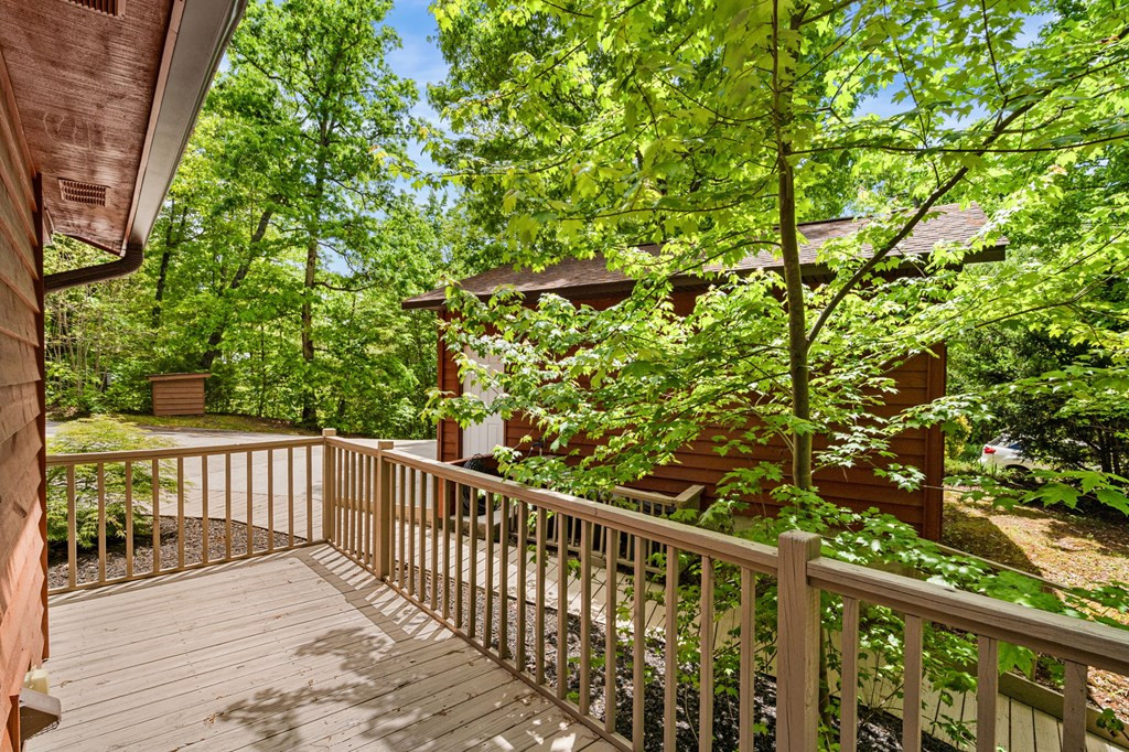 175 Scenic Highlands Drive, Marble, NC 28905 Listing Photo  39