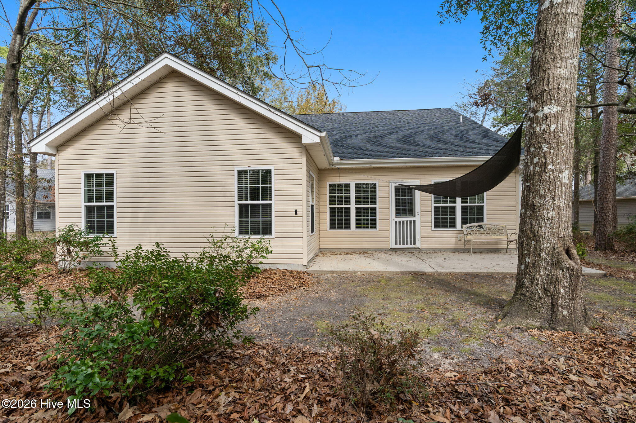 100559407 | Photo 34