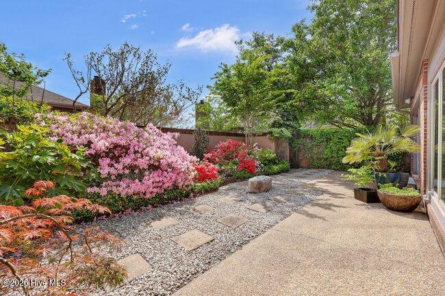 100567755 | Photo 36