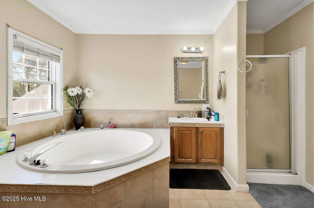 100537845 | Photo 39