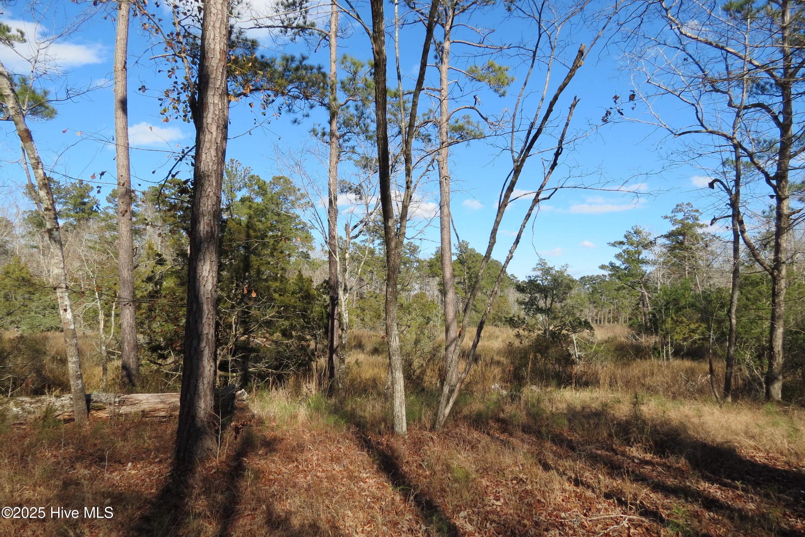 109 Winding Creek Drive, Oriental, NC, 28571