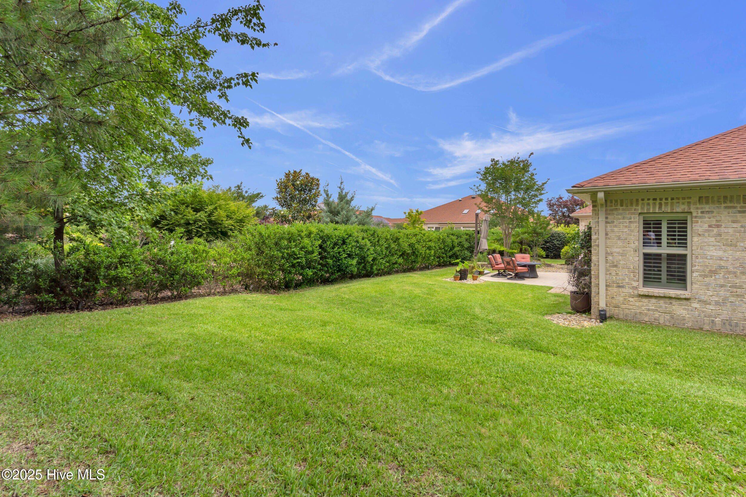 100533496 | Photo 48