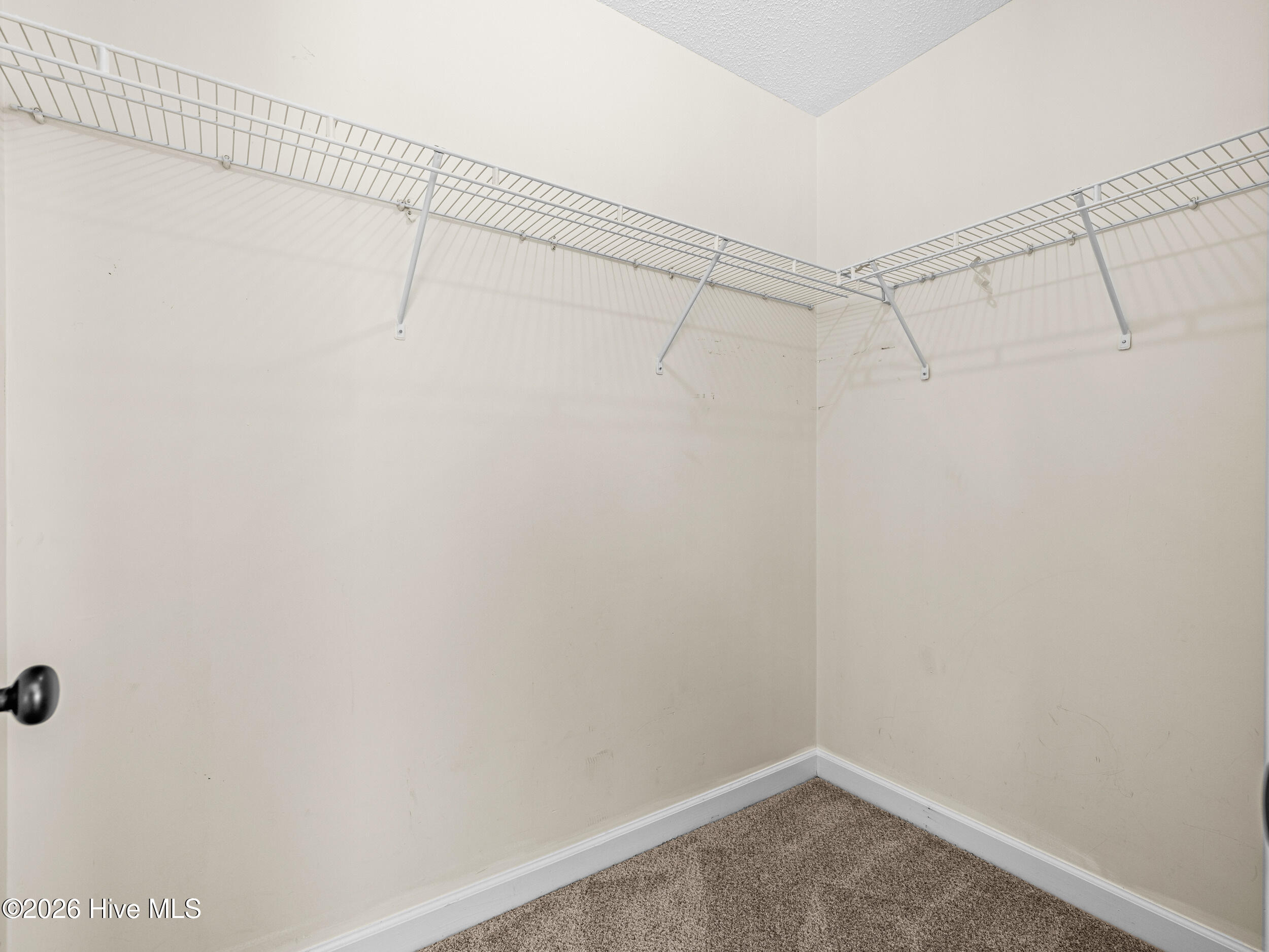 100554469 | Photo 23