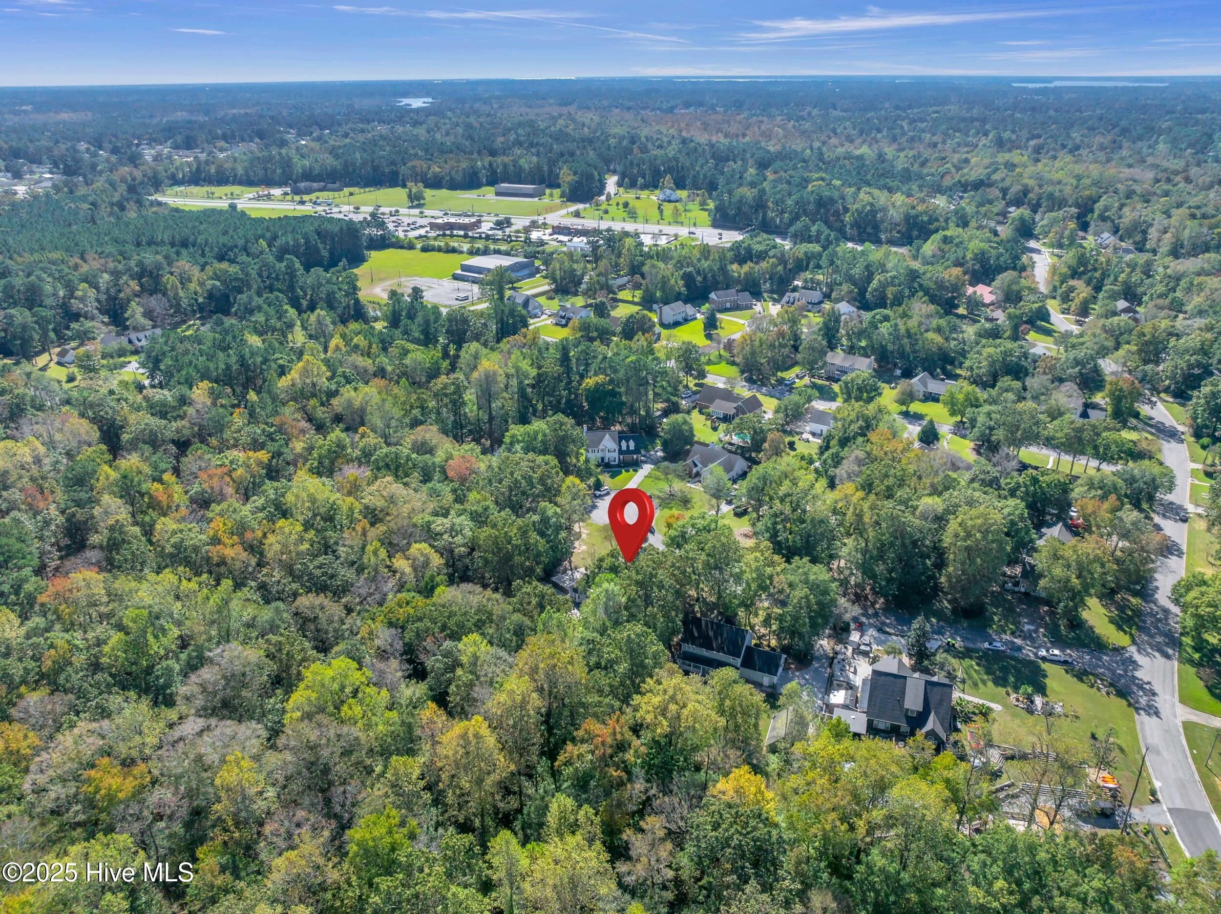 100537583 | Photo 49