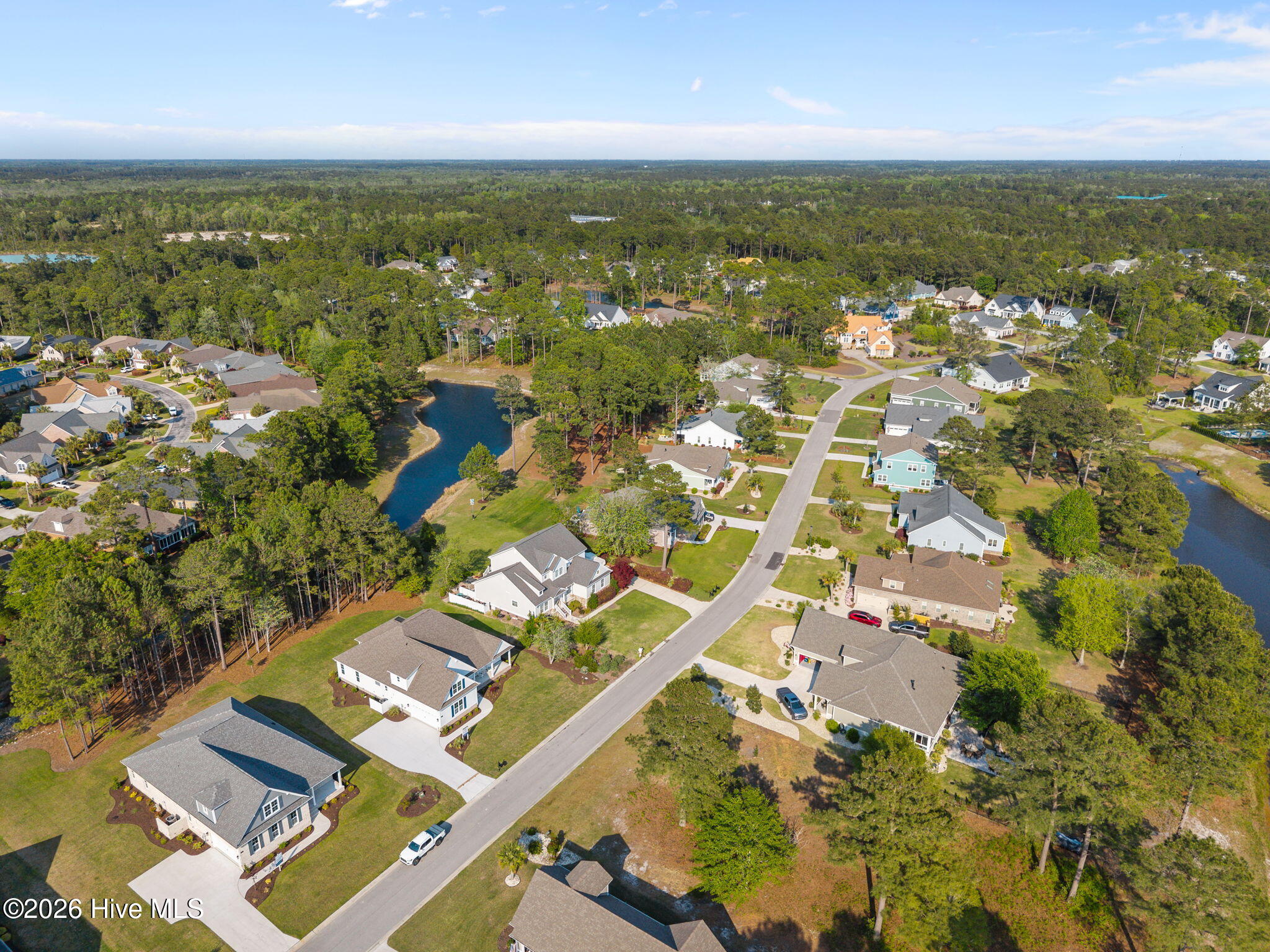 100554681 | Photo 50