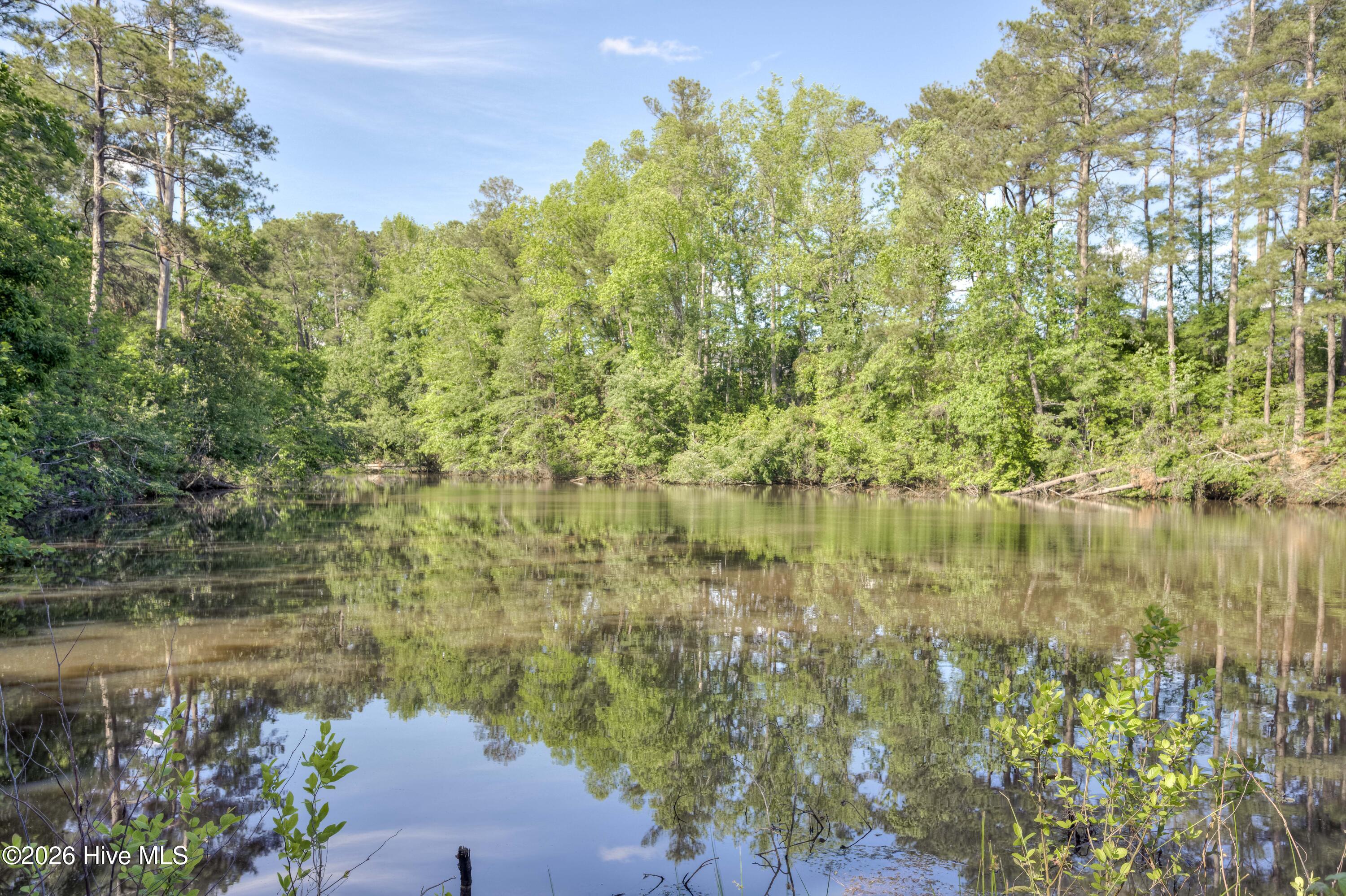 818 Elsie Drive, North Augusta, SC 29860 Listing Photo  38