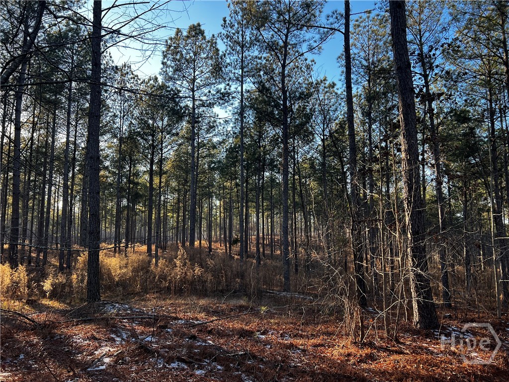 2285 Cherokee Road, Comer, GA, 30629