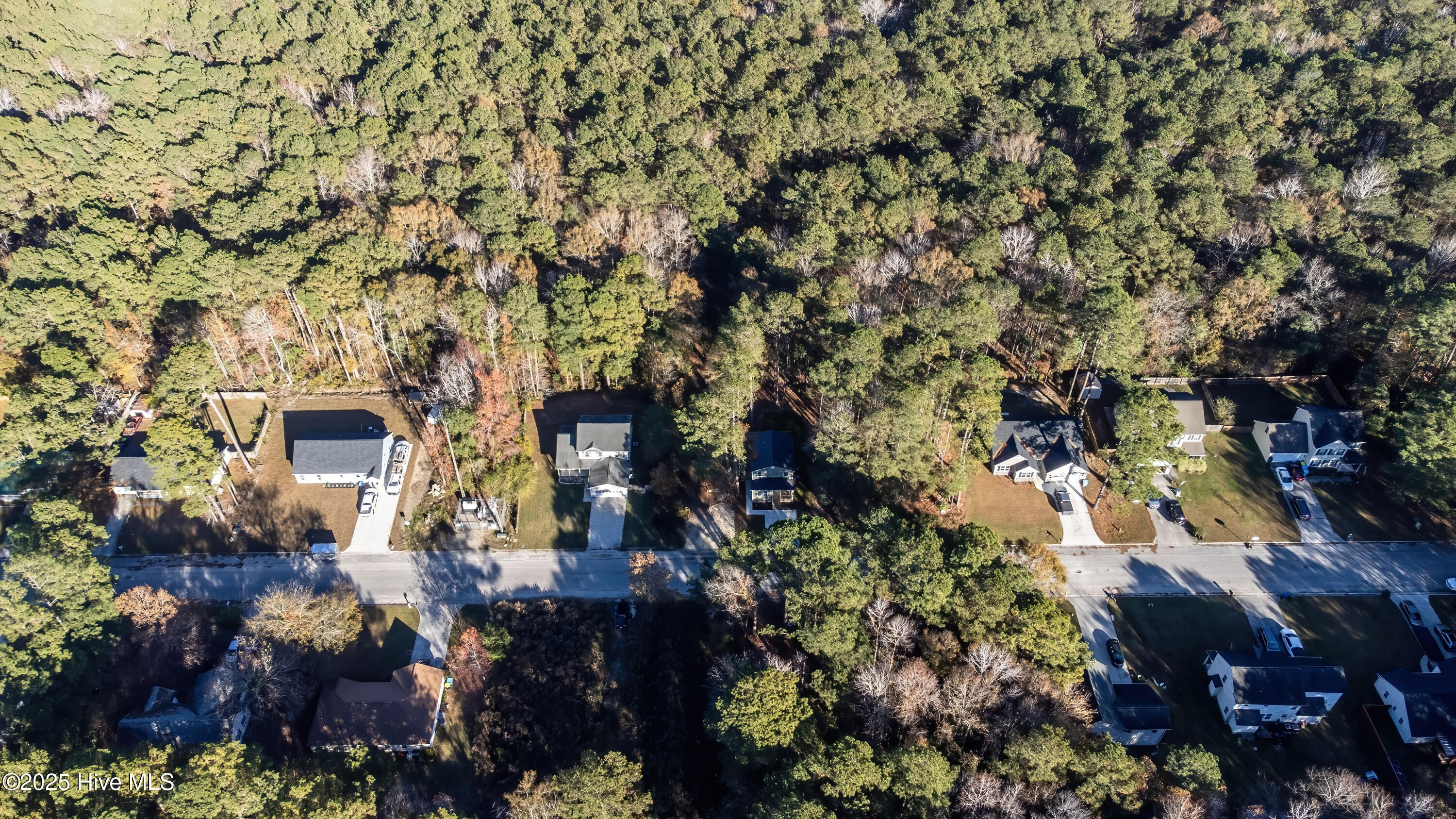 100538278 | Photo 59