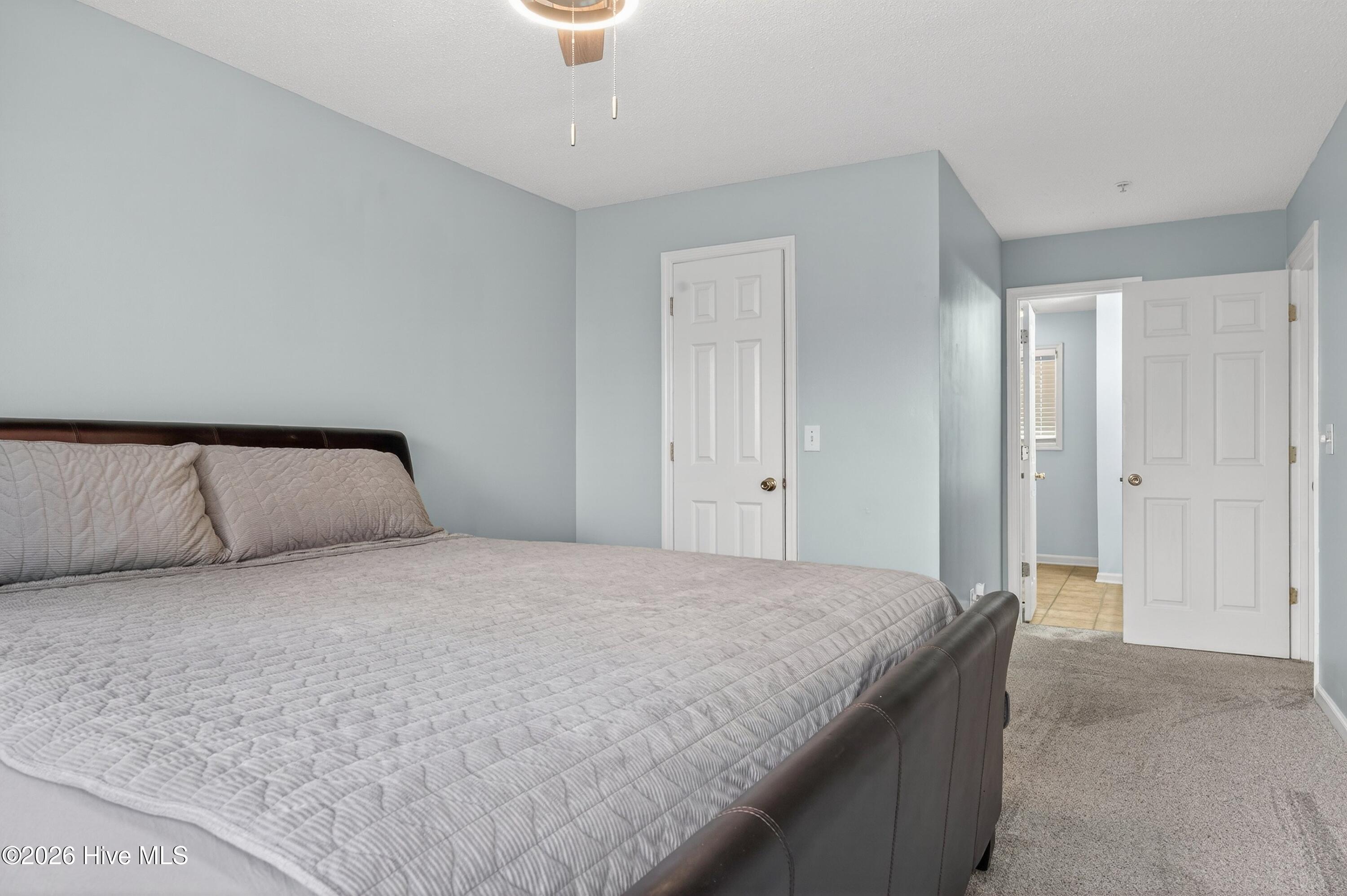 100556738 | Photo 12