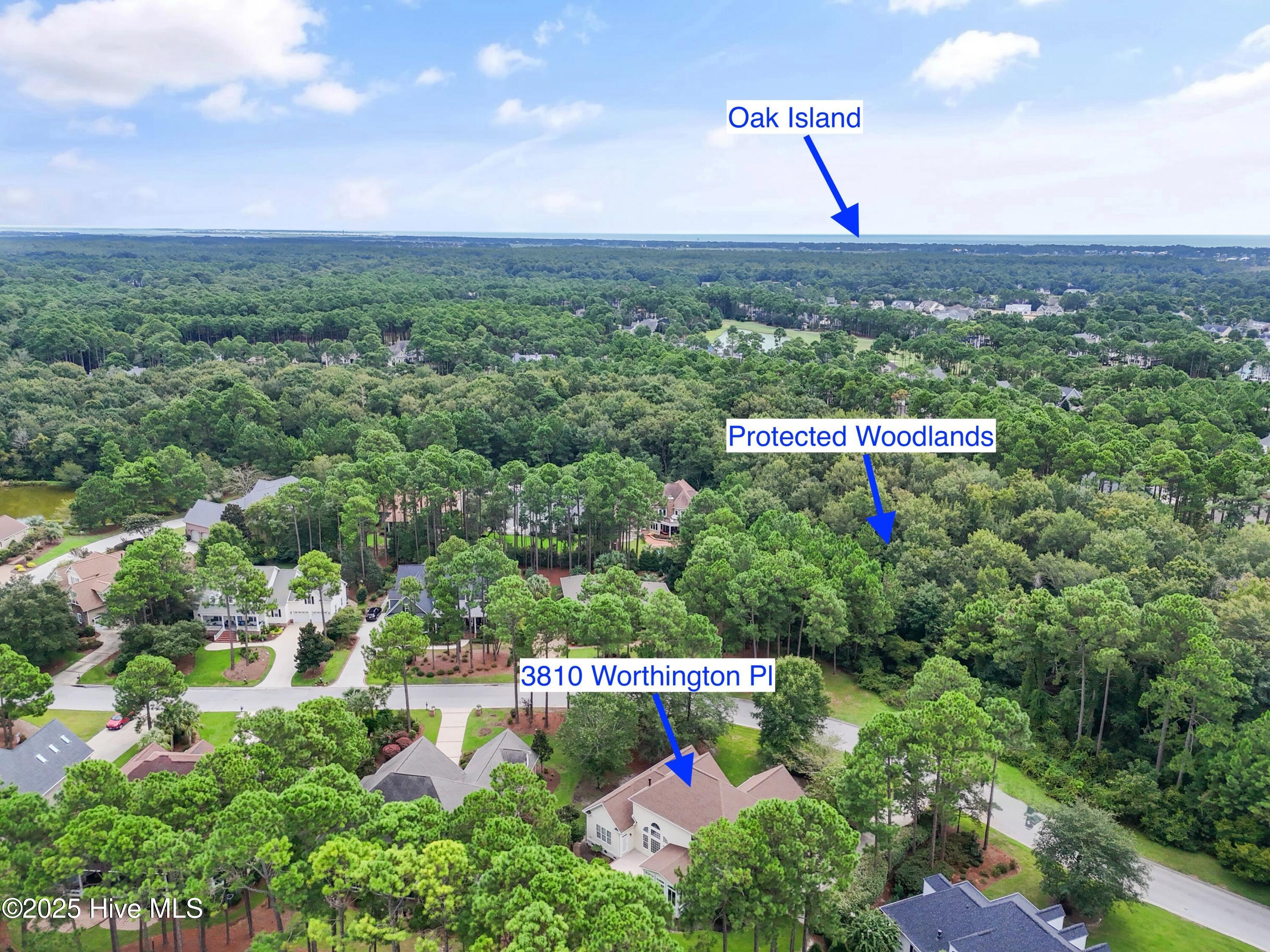 100526720 | Photo 50