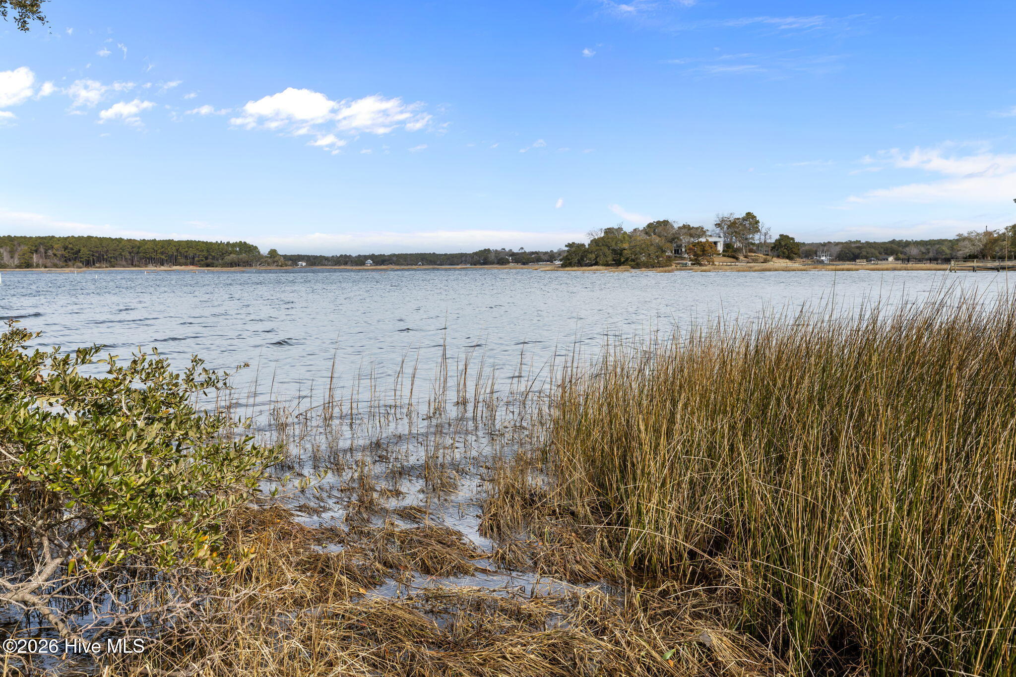 100558947 | Photo 46