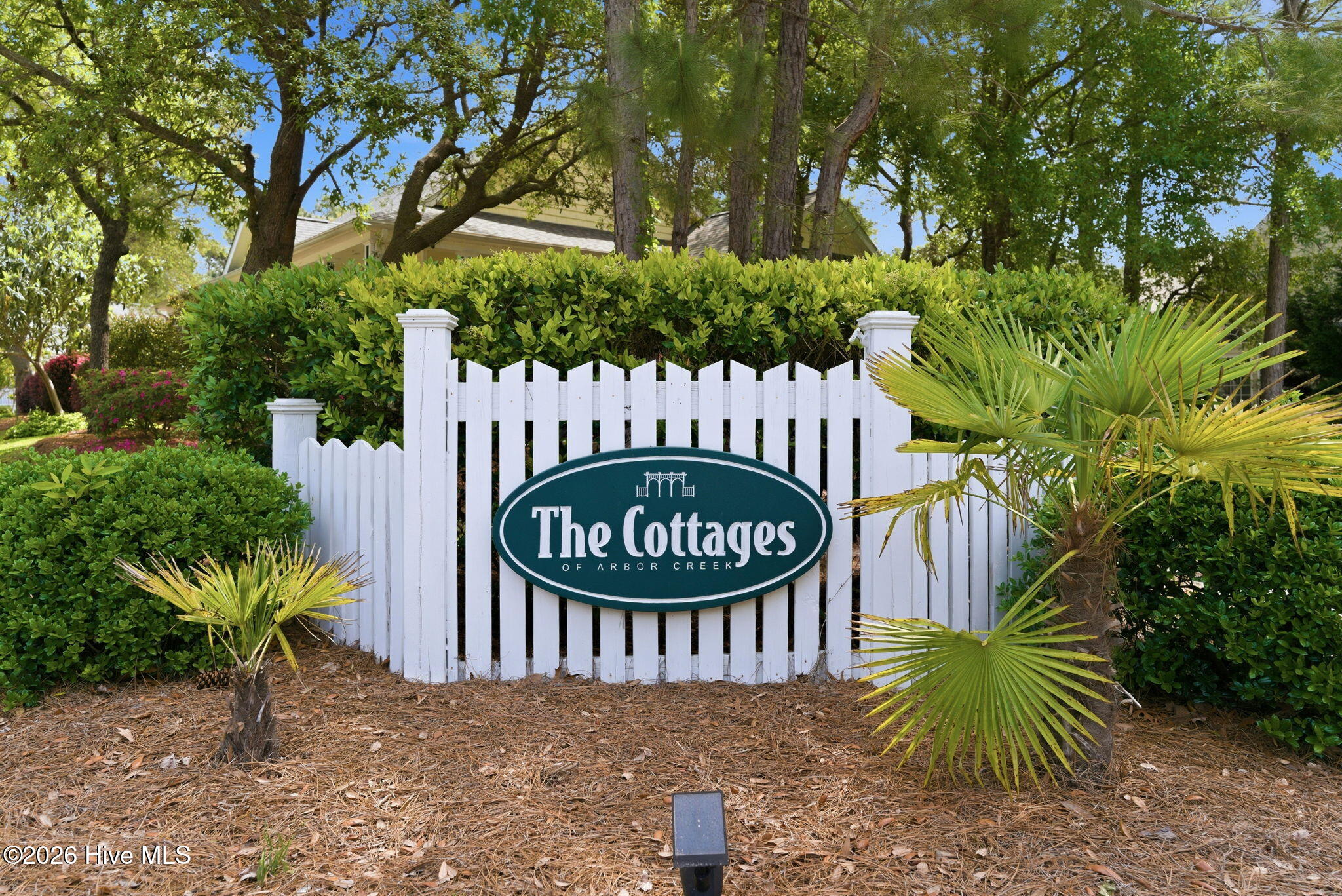 100569459 | Photo 44