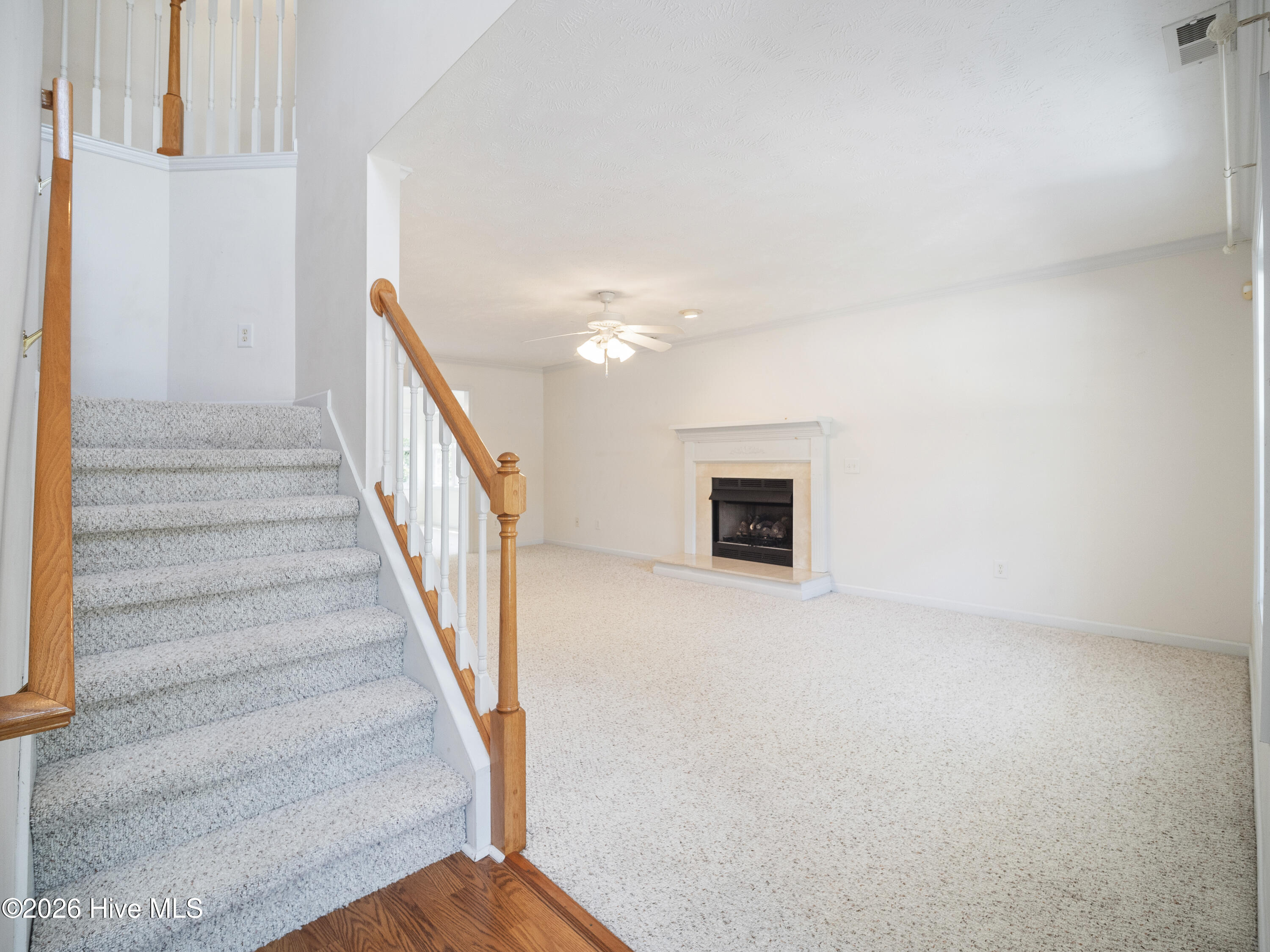 100570640 | Photo 11