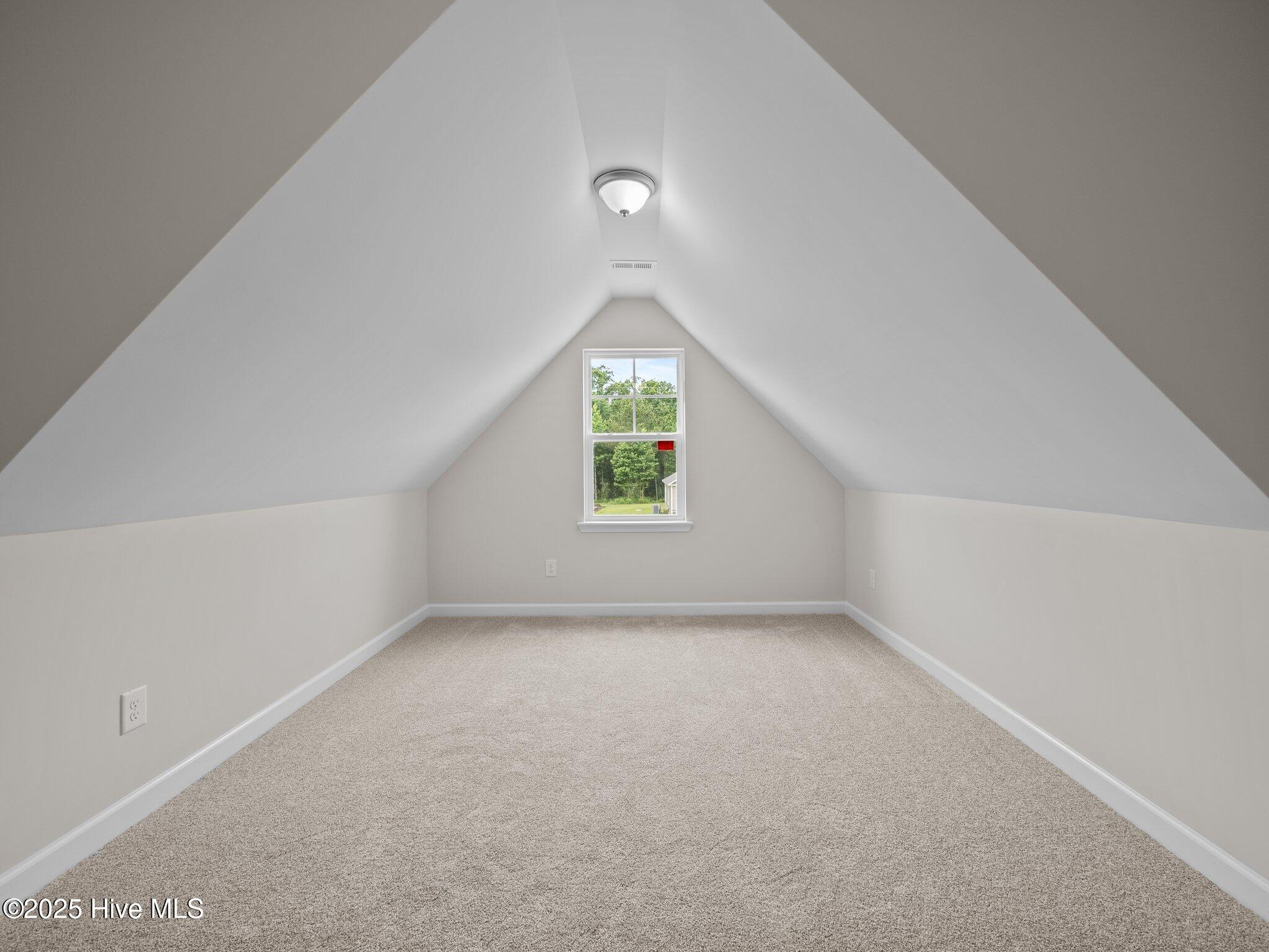 100511213 | Photo 24