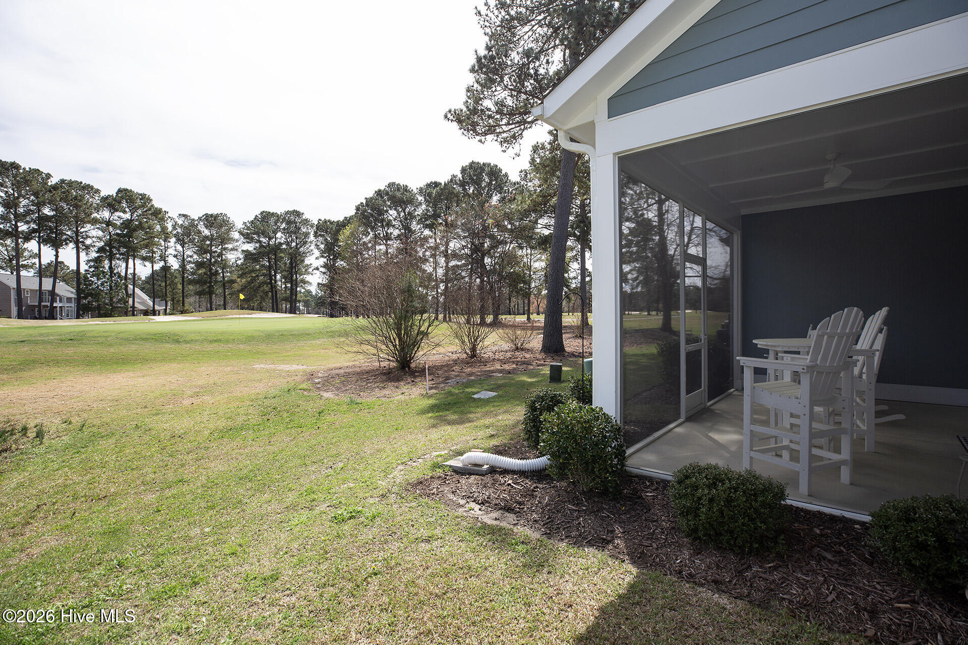 100561954 | Photo 32