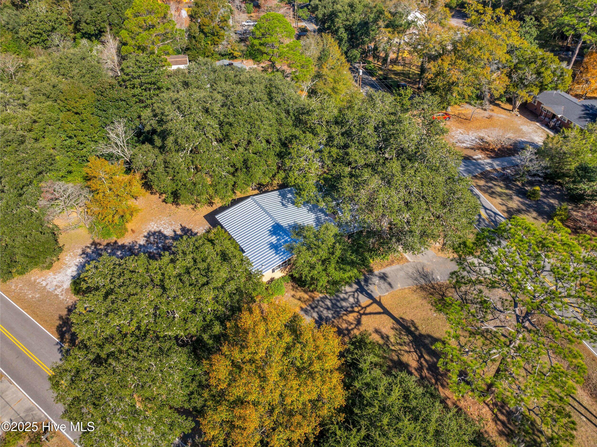 100532133 | Photo 11