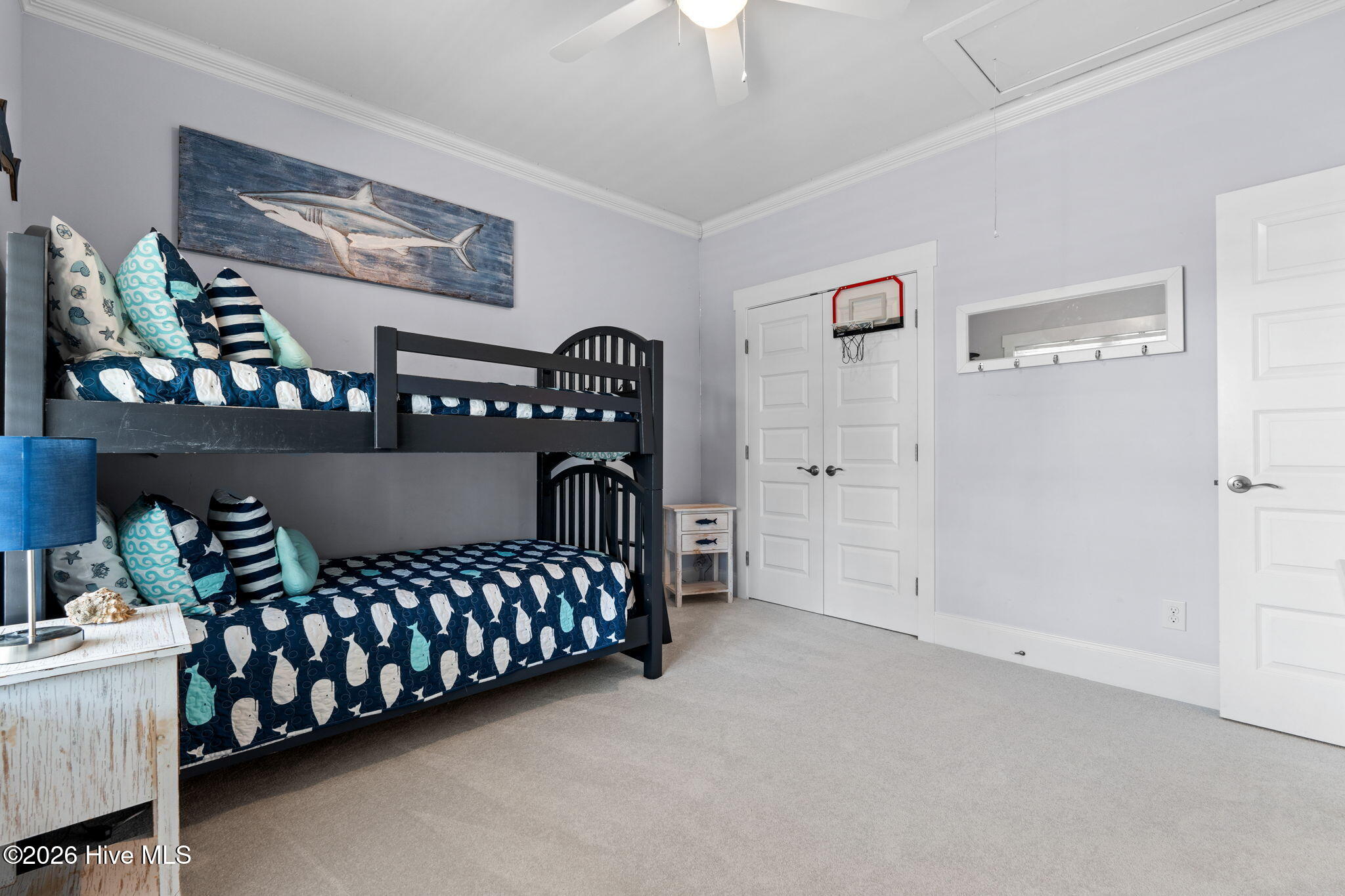 100563118 | Photo 38