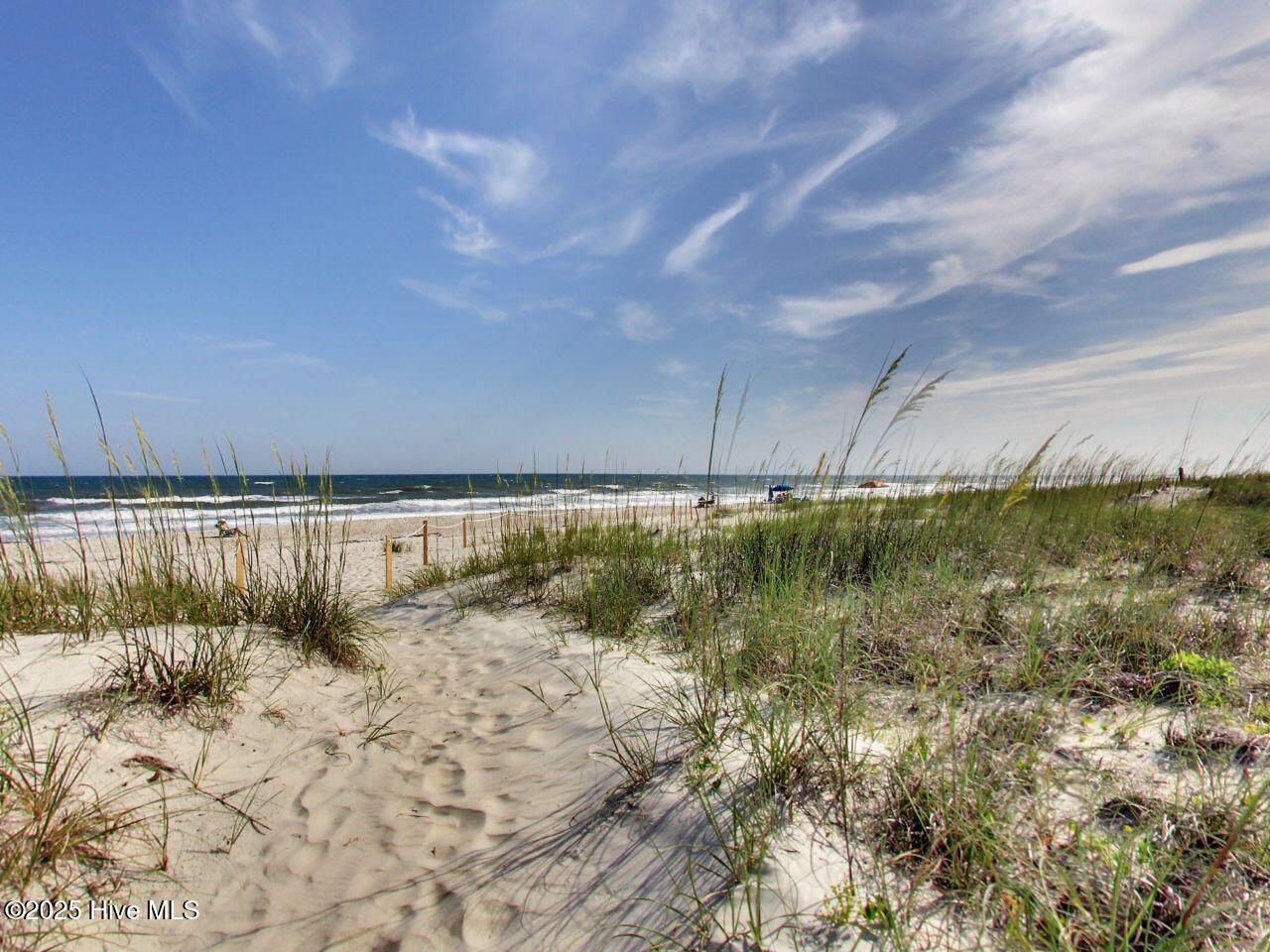 100482109 | Photo 16