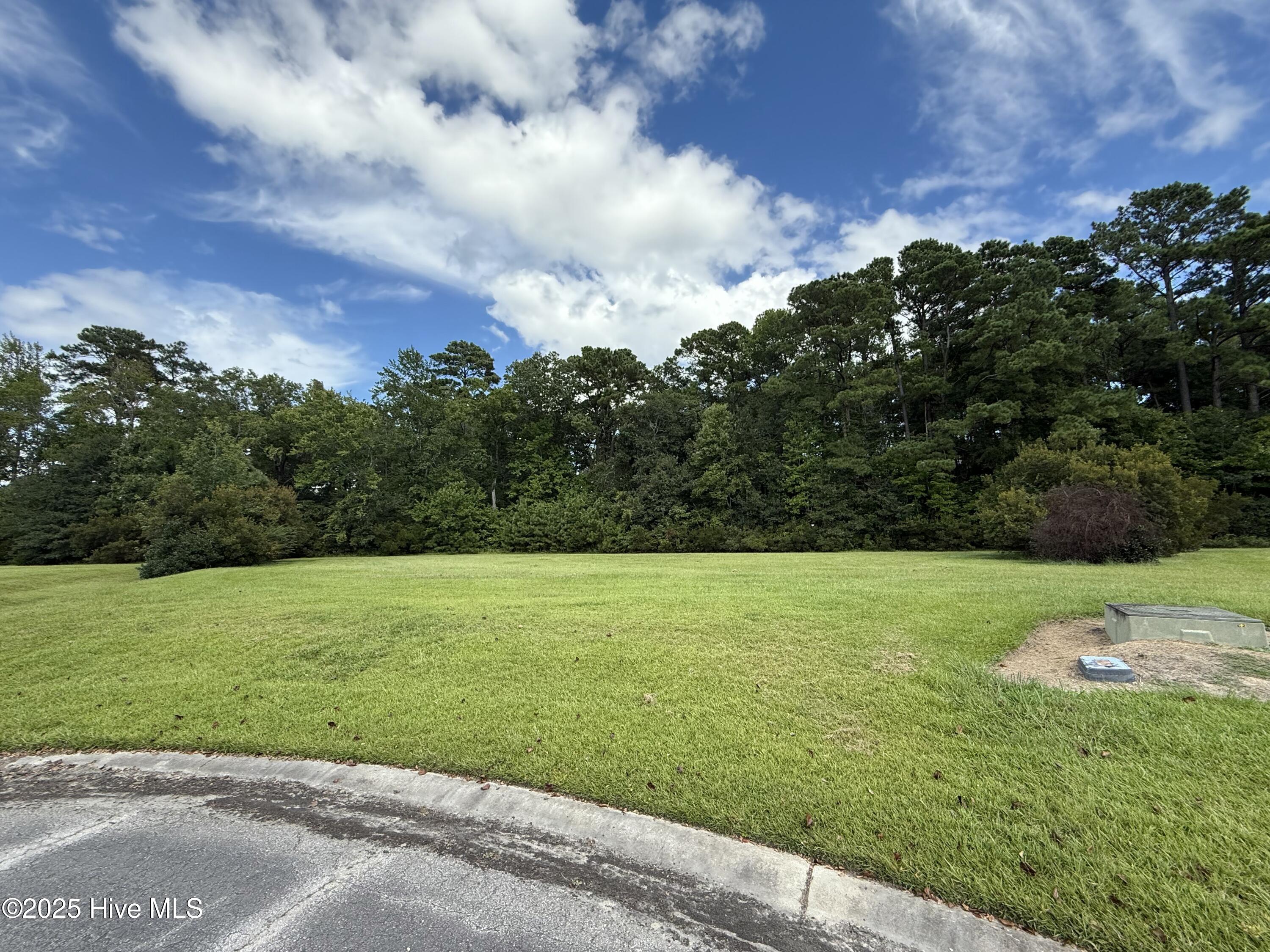 Homes for sale in Arapahoe, NC | 61 Edna Ct, Arapahoe, NC 28510 | MLS# 100529467