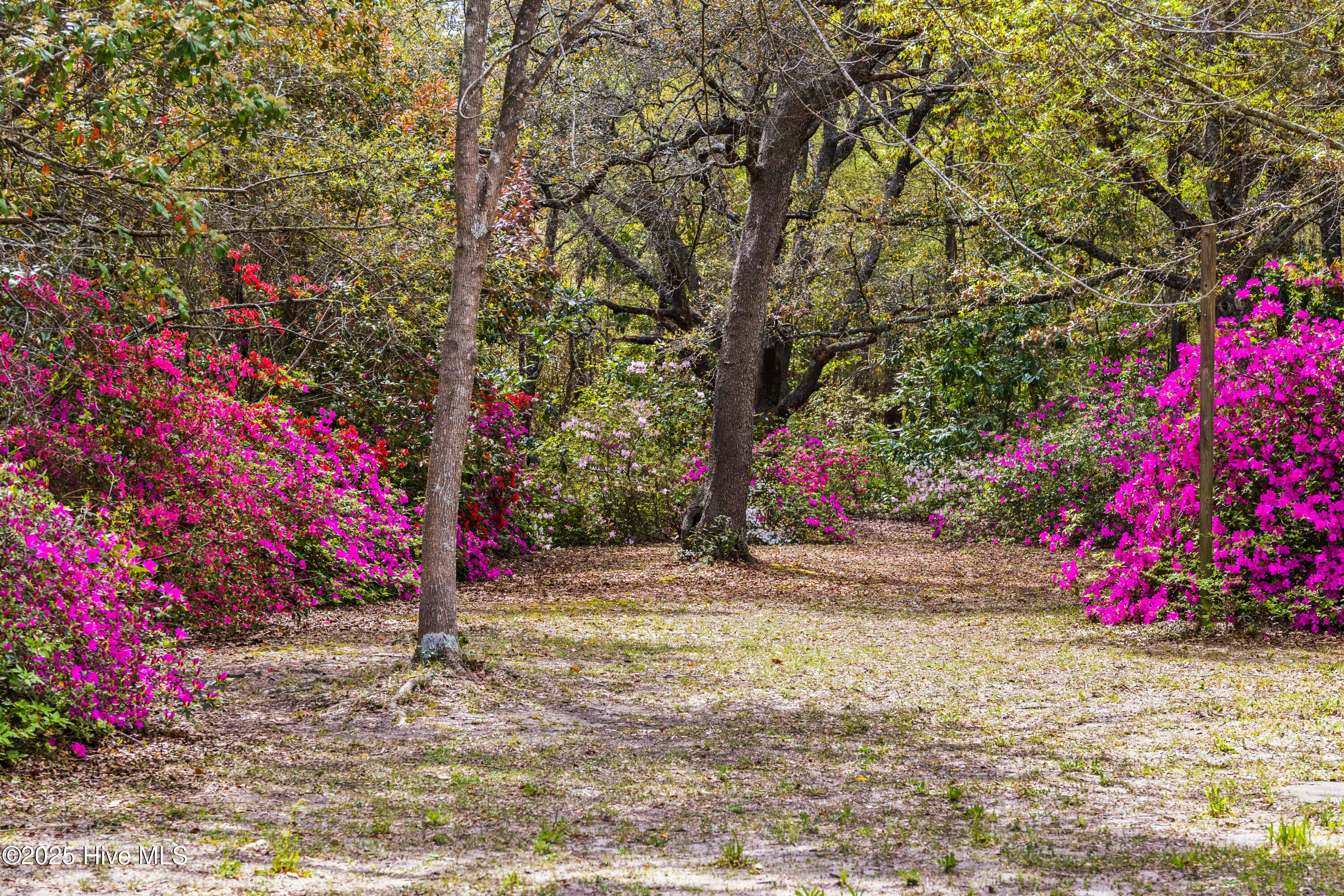 100548409 | Photo 46