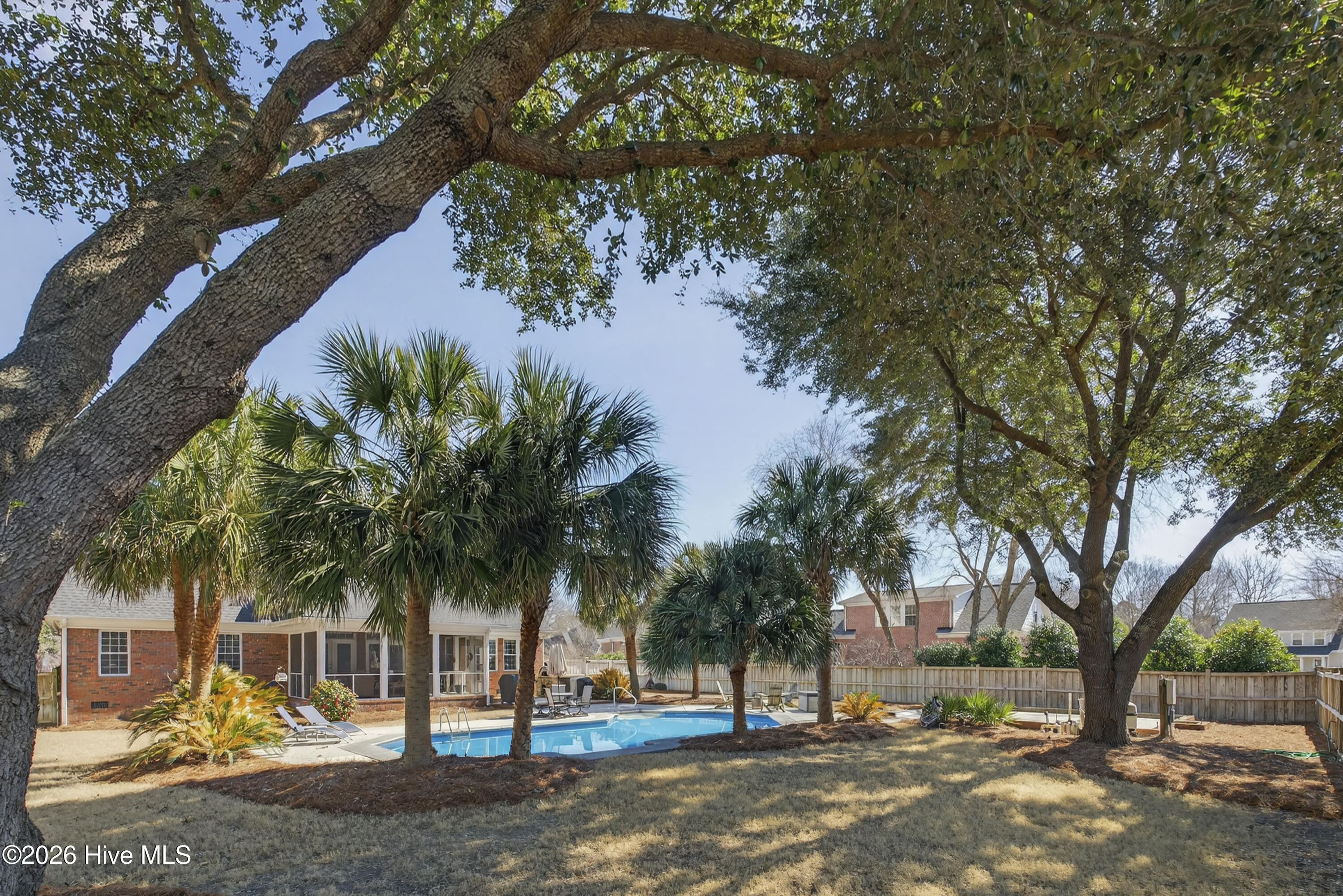 100557887 | Photo 66