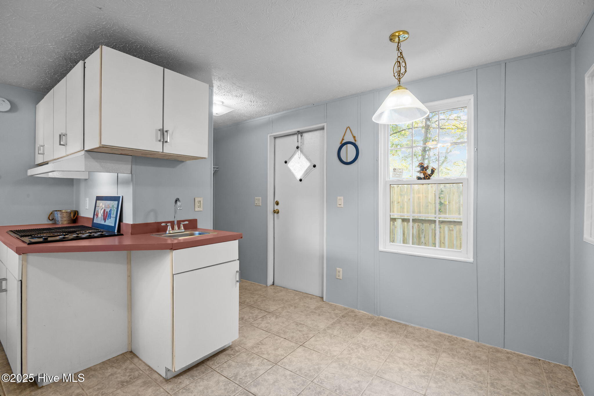 100541856 | Photo 23