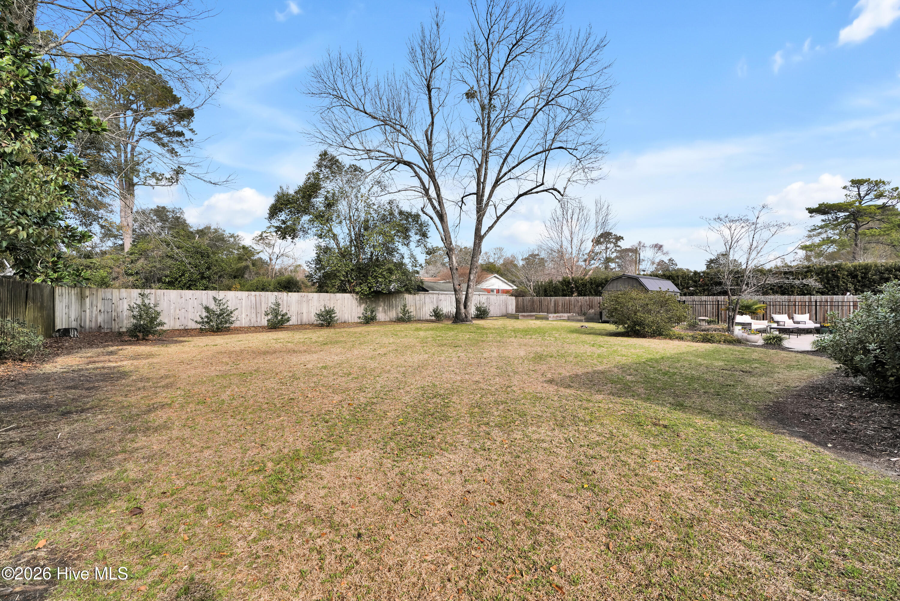 100557900 | Photo 32