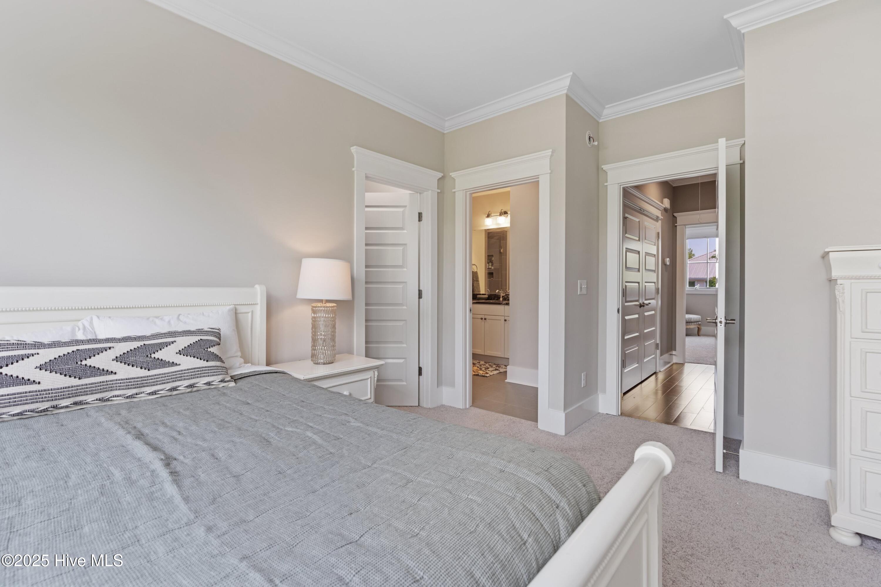 100507237 | Photo 12