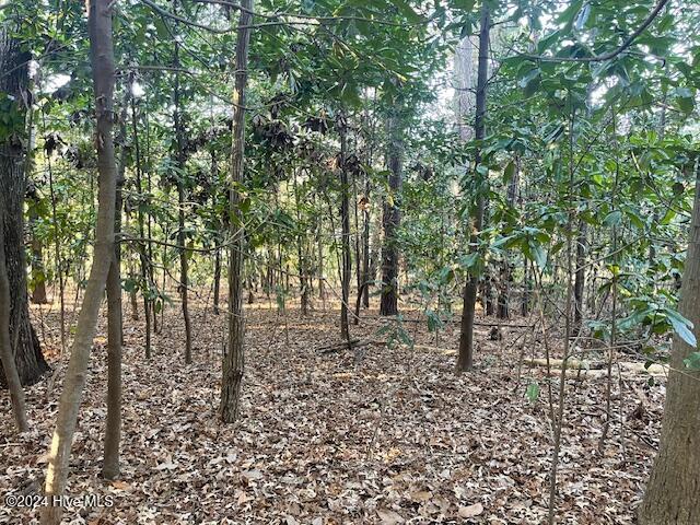 408 Lake Pines Drive, La Grange, NC, 28551