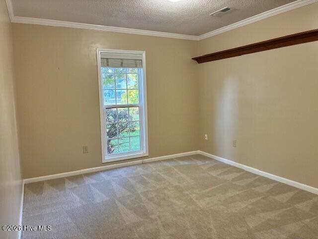 100565703 | Photo 13