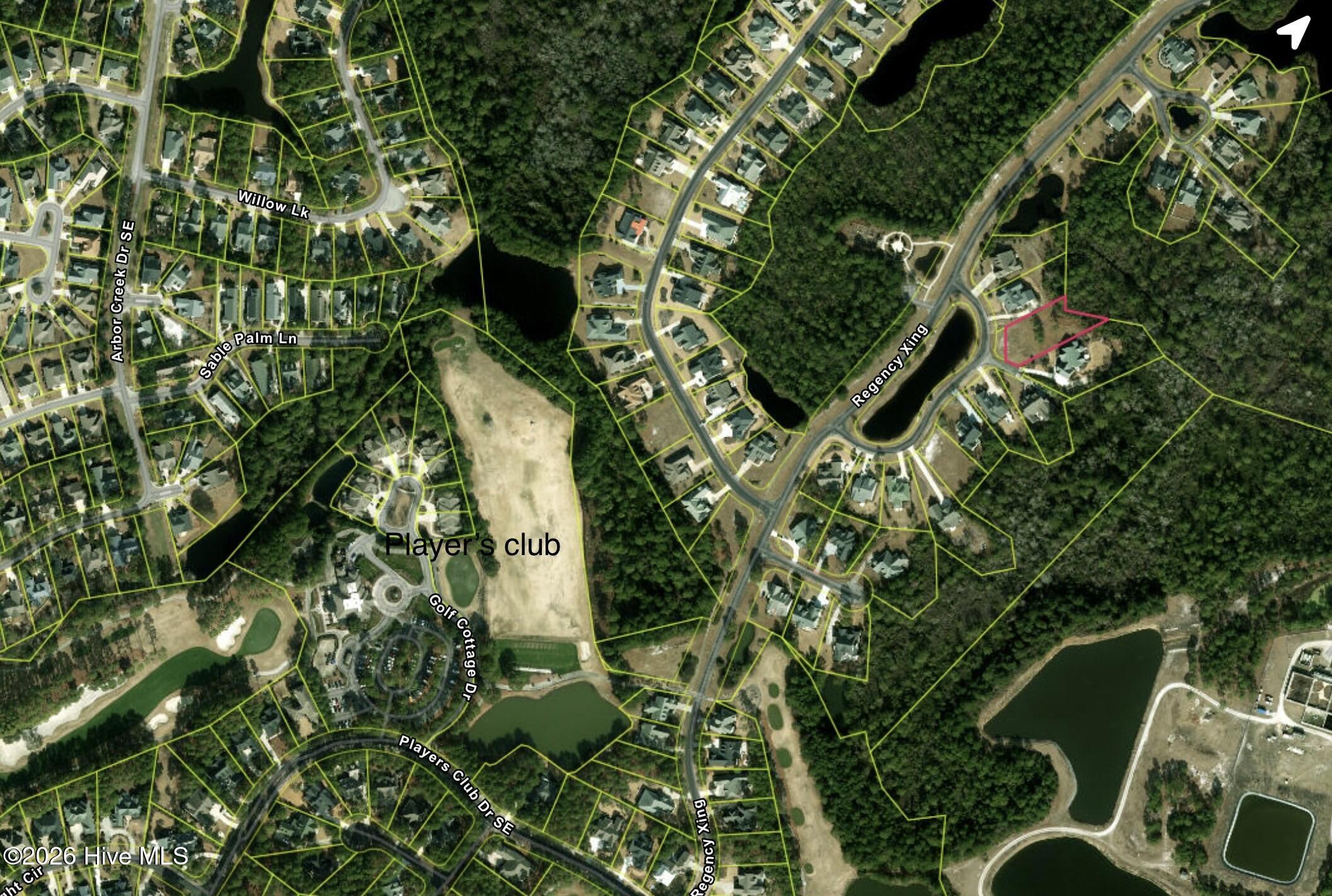 100558707 | Photo 17