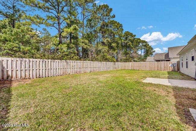 100566246 | Photo 20