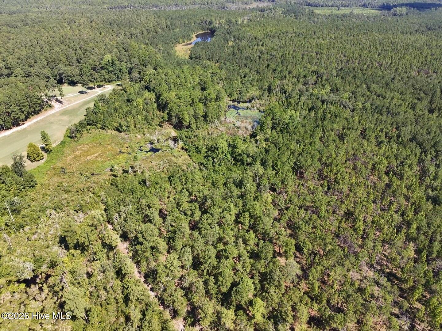 Photo 4 of Land for sale at Trt 11 Peach Orchard Rd, Wagram, NC 28396 | MLS# 100538550 | Listing updated on 2026-09-01