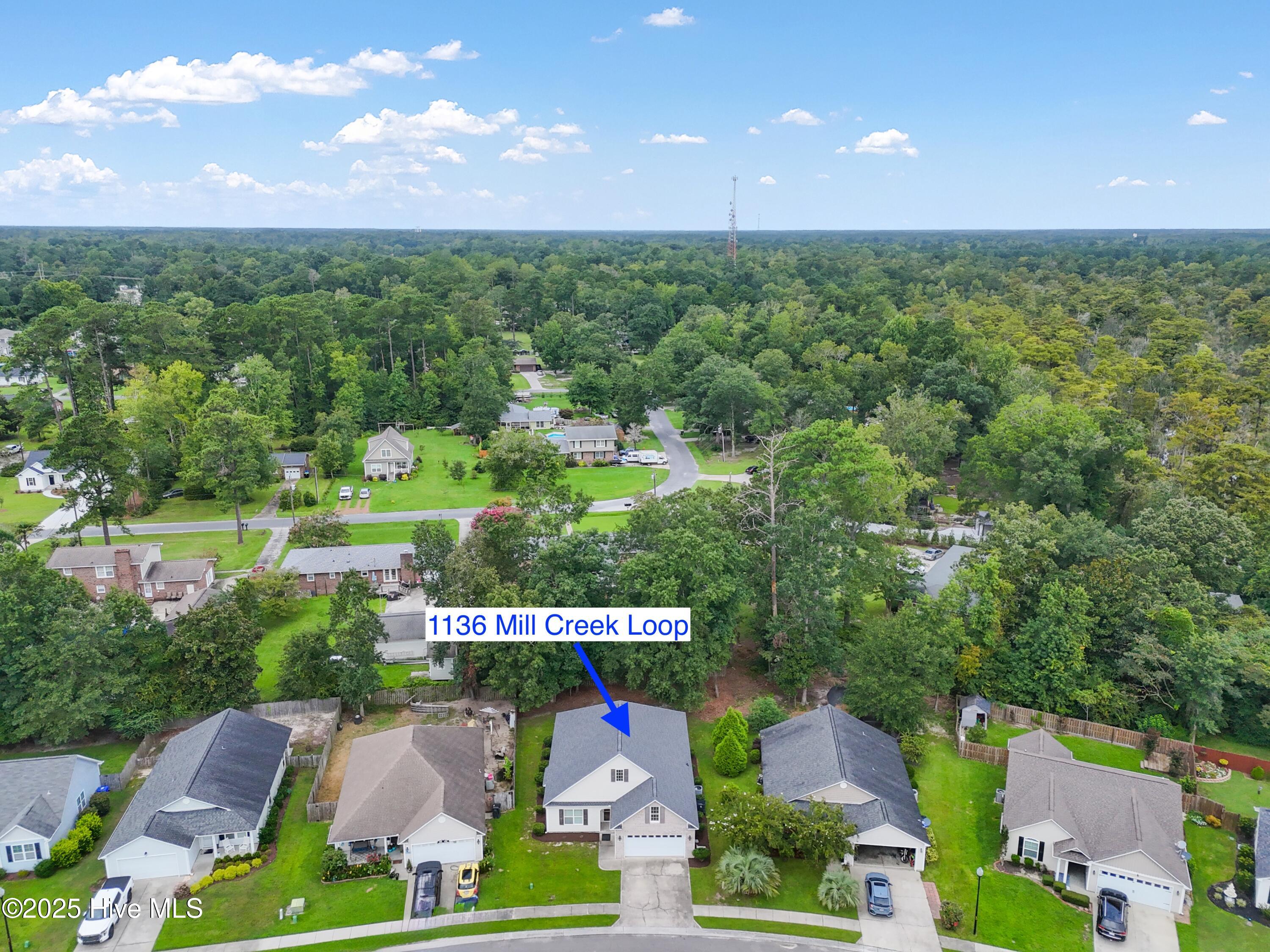 100527568 | Photo 36