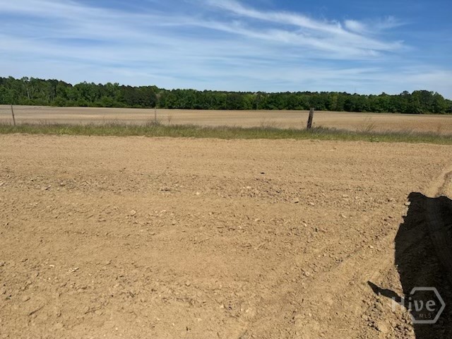 2905 Donald Cobb Road, Bartow, GA, 30413