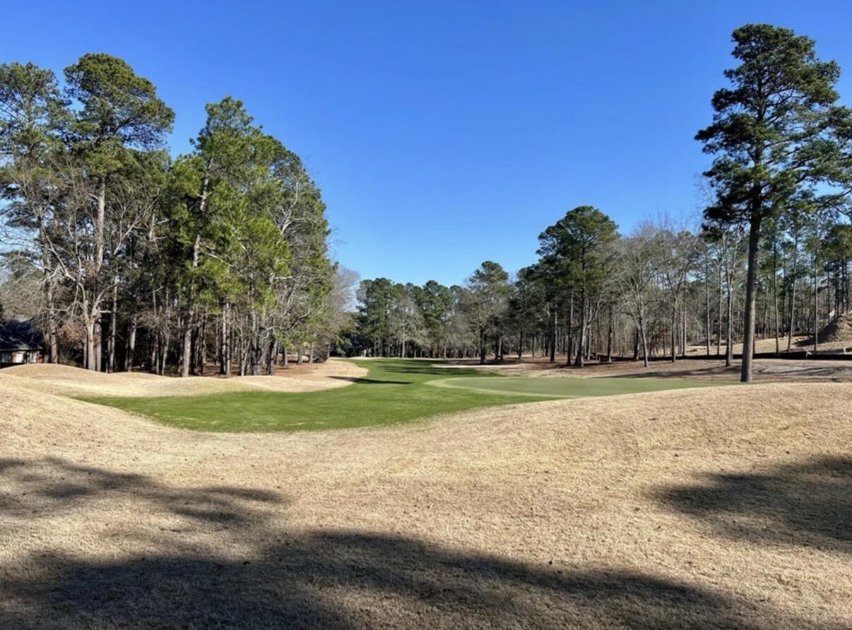 Homes for sale in Aiken, SC | 433 True Cedar Way, Aiken, SC 29803 | MLS# 549631