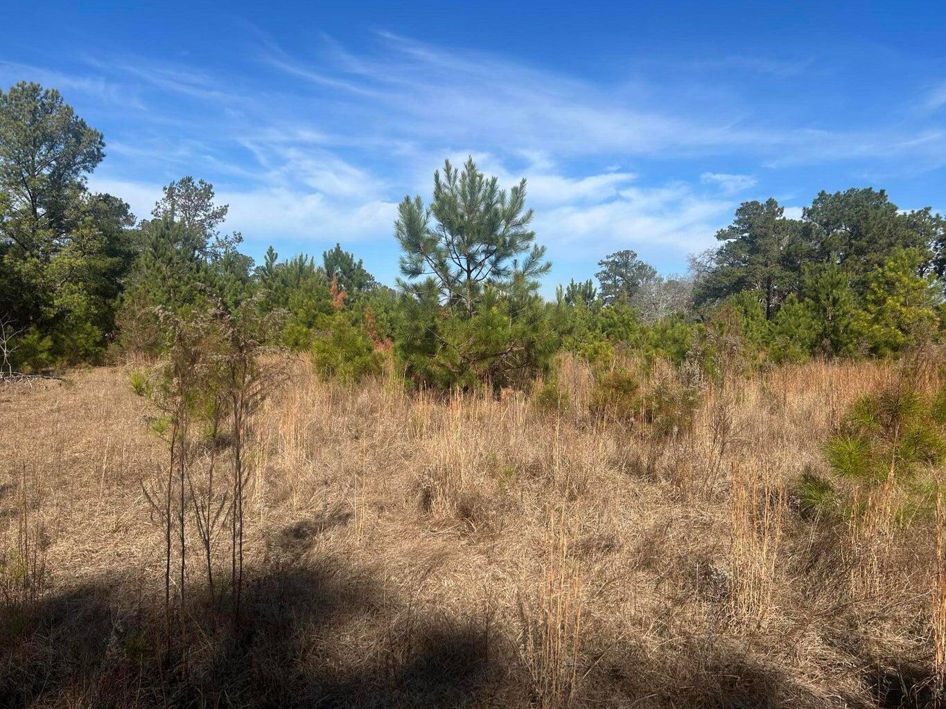 00 Fairway Drive, New Ellenton, SC, 29809