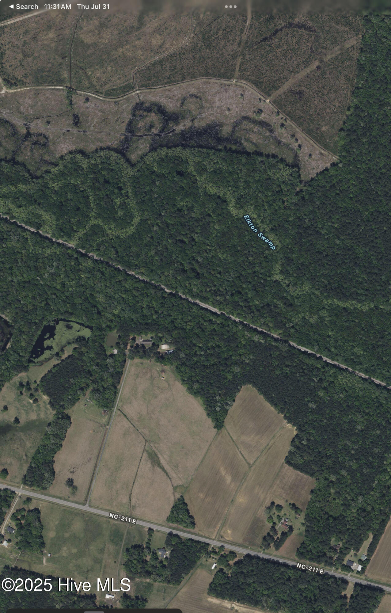 100522277 | Photo 69