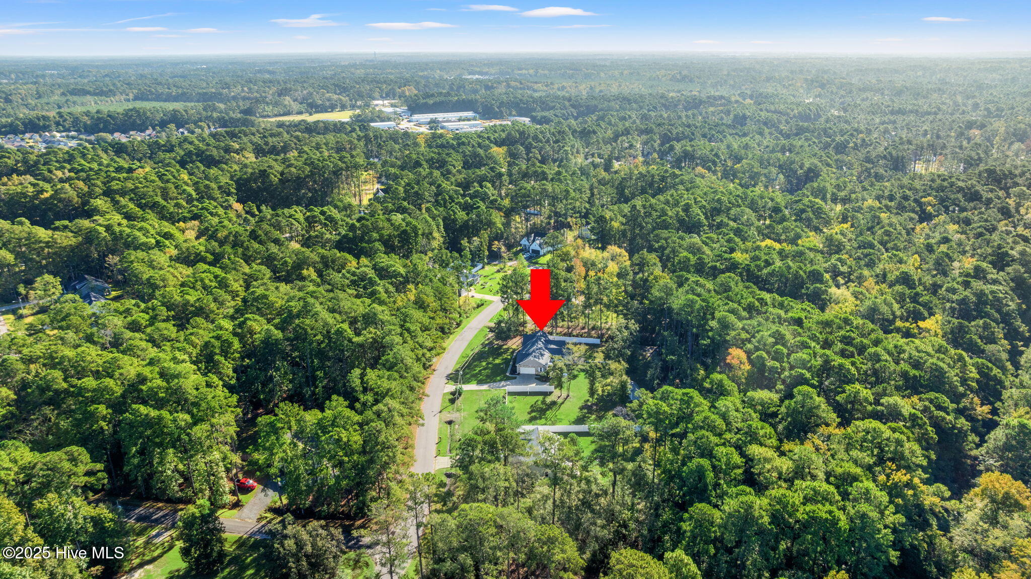 100535002 | Photo 35