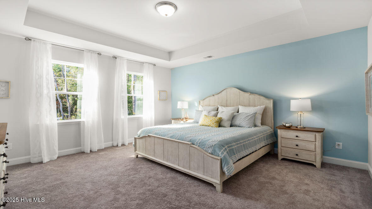 100528488 | Photo 15