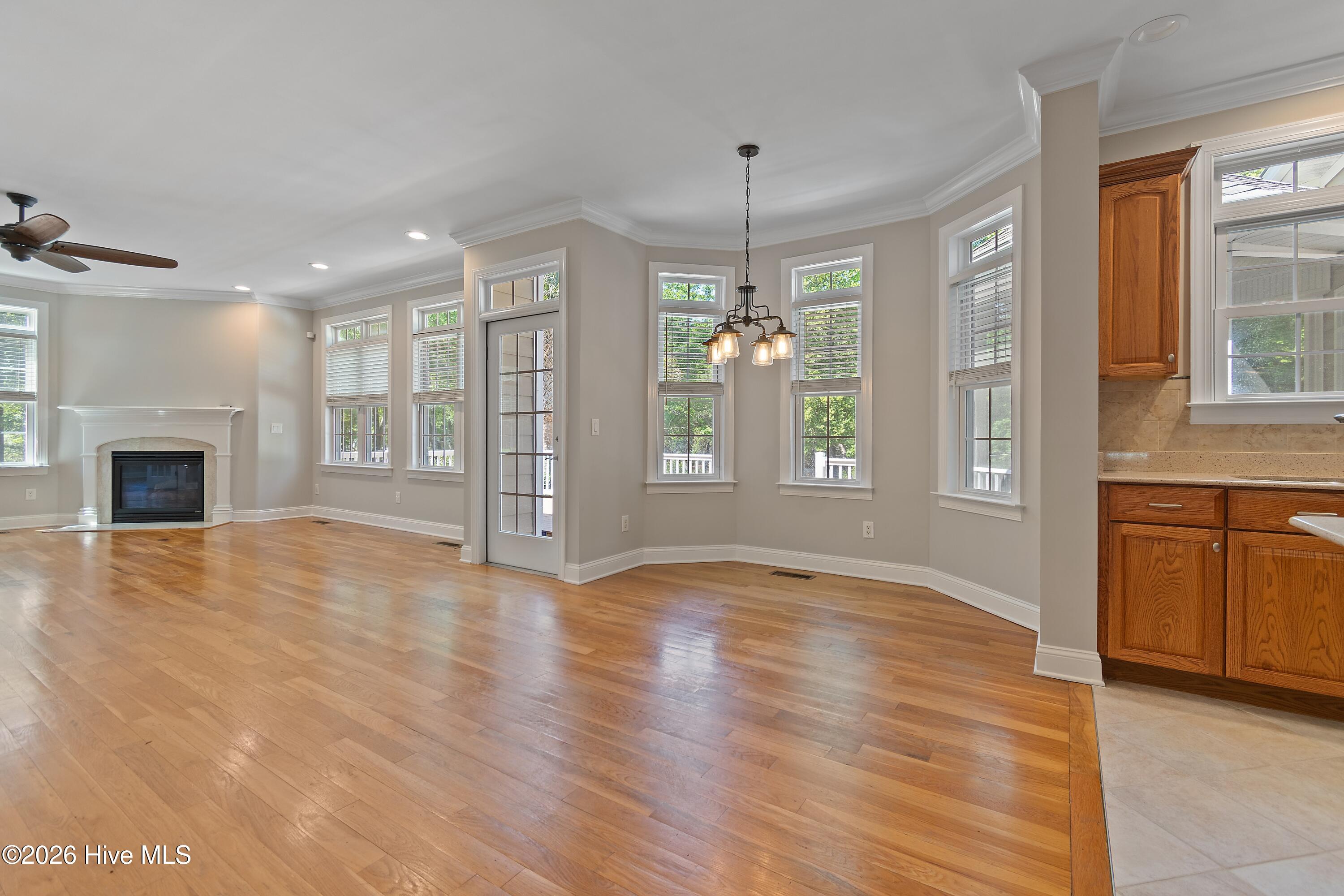 100568662 | Photo 21