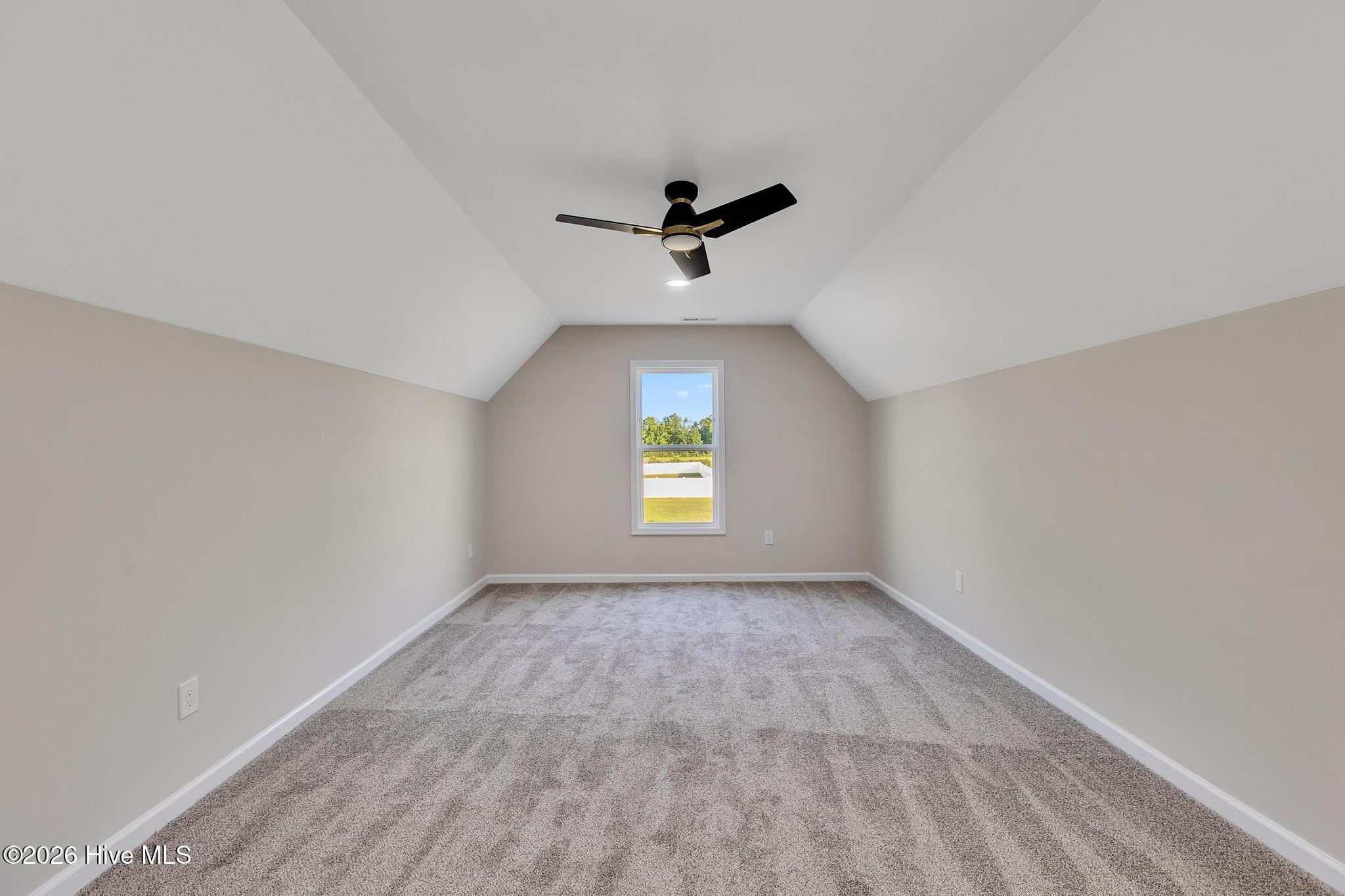 100552595 | Photo 33