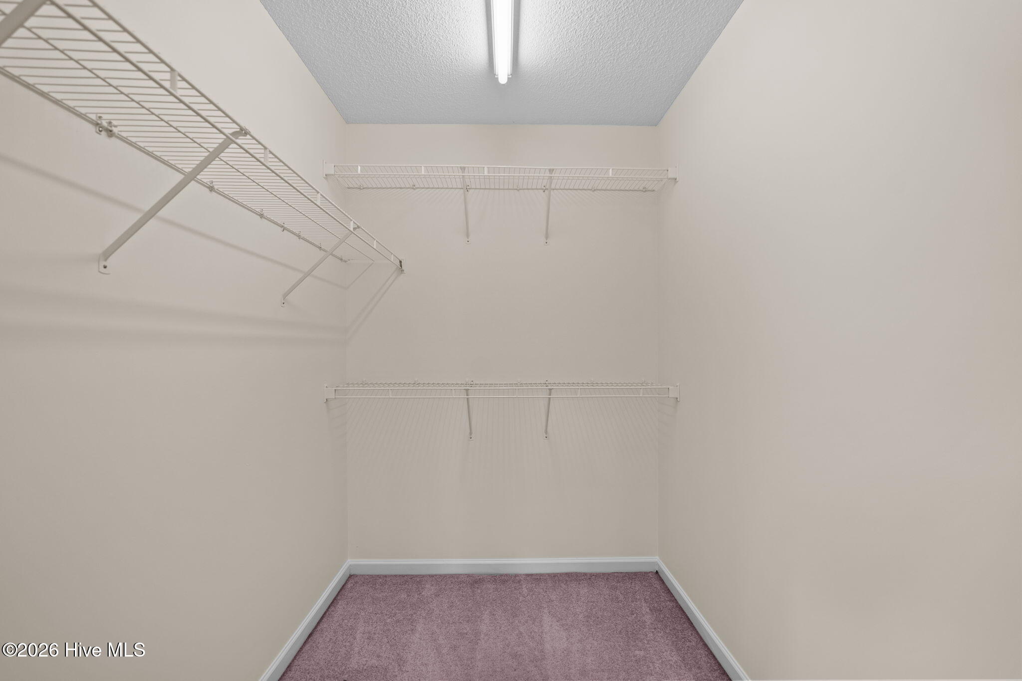 100560946 | Photo 14